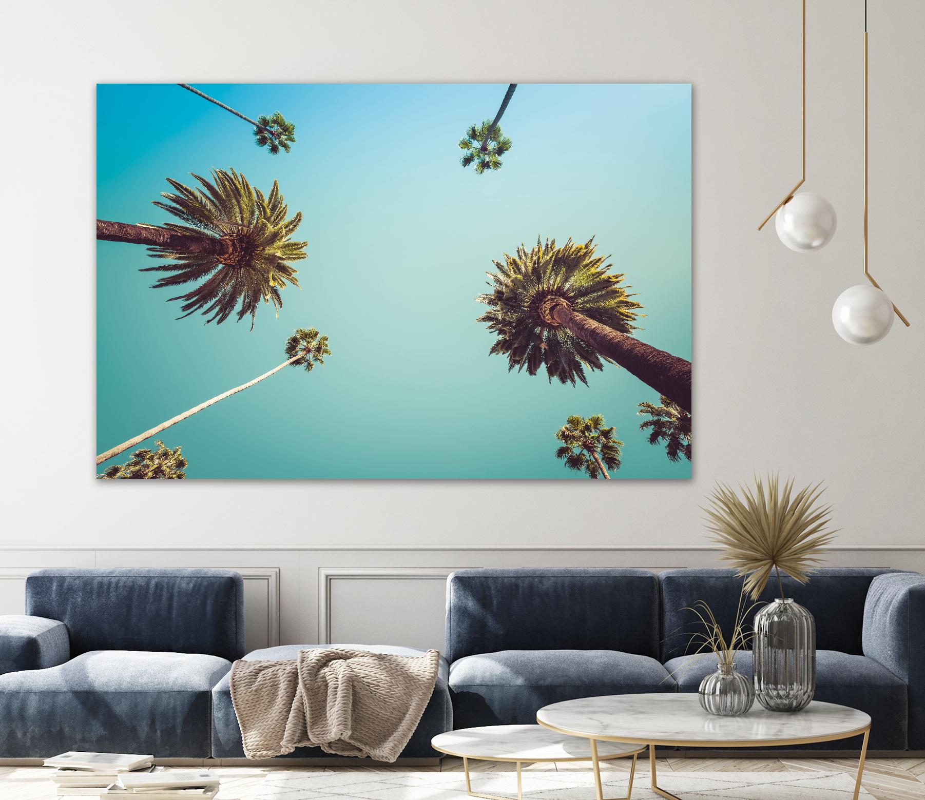 Palms by PhotoINC Studio on GIANT ART - multicolor photography; landscapes