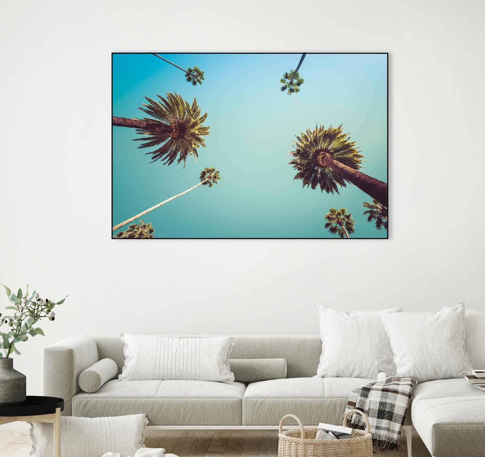 Palms by PhotoINC Studio on GIANT ART - multicolor photography; landscapes