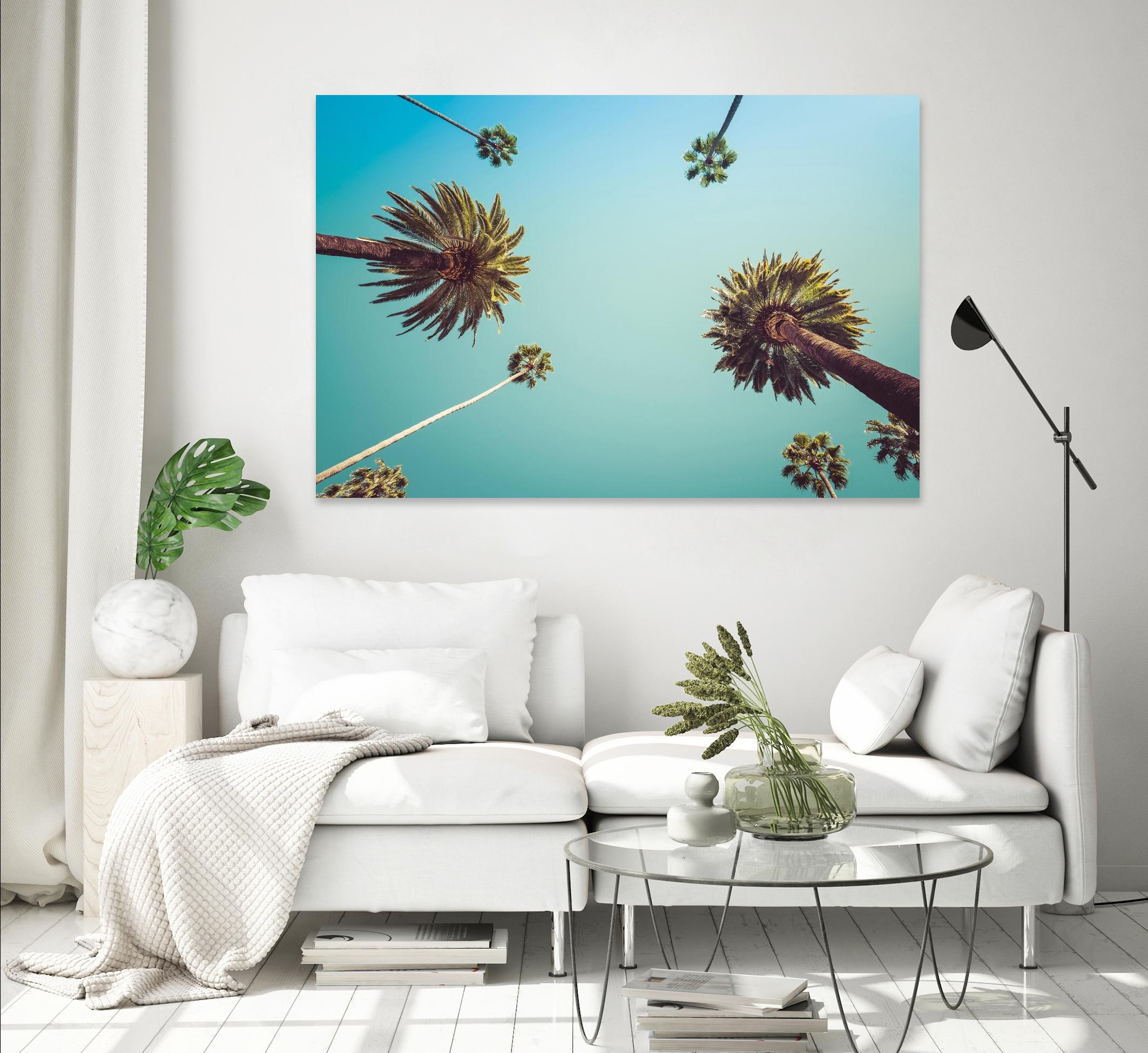 Palms by PhotoINC Studio on GIANT ART - multicolor photography; landscapes