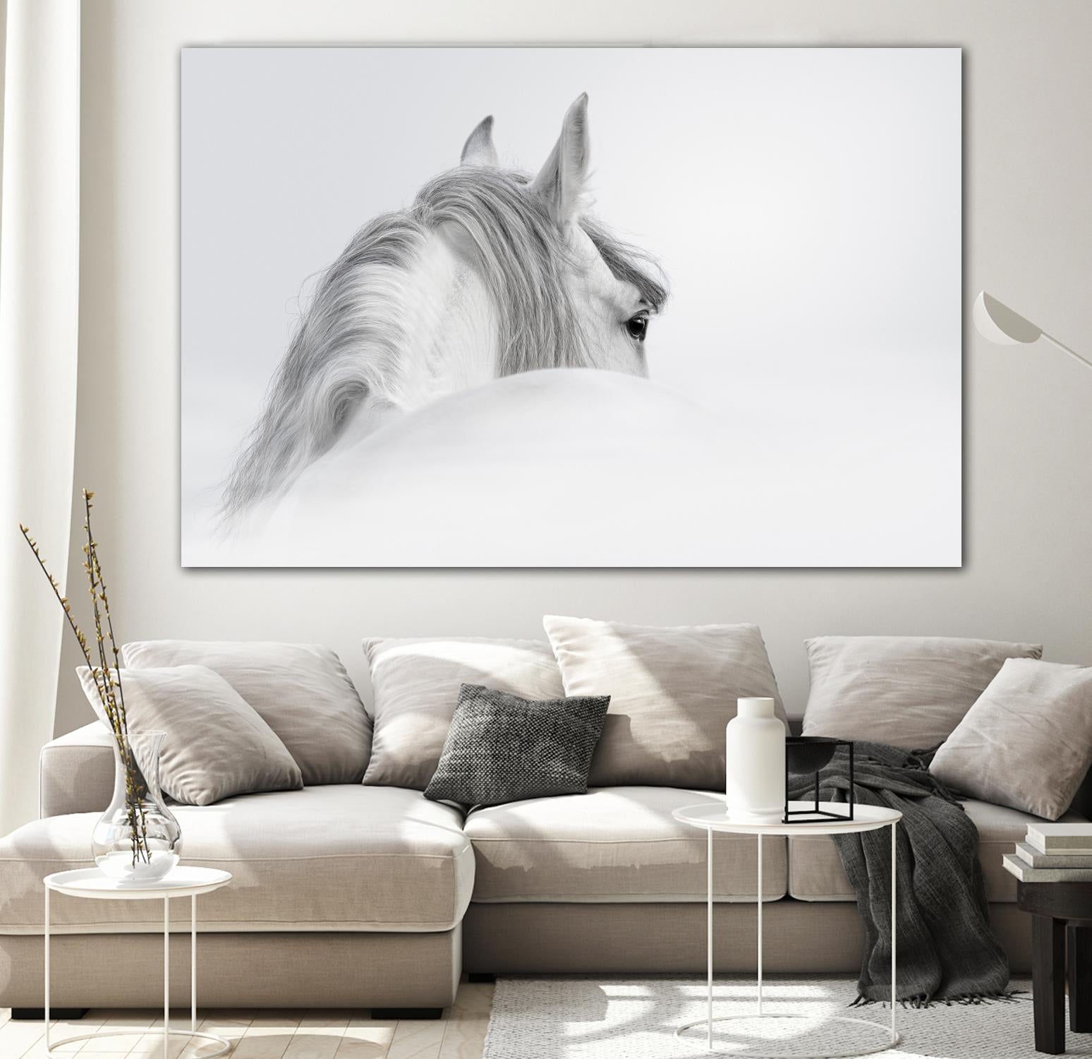 White Horse by PhotoINC Studio on GIANT ART - multicolor animals