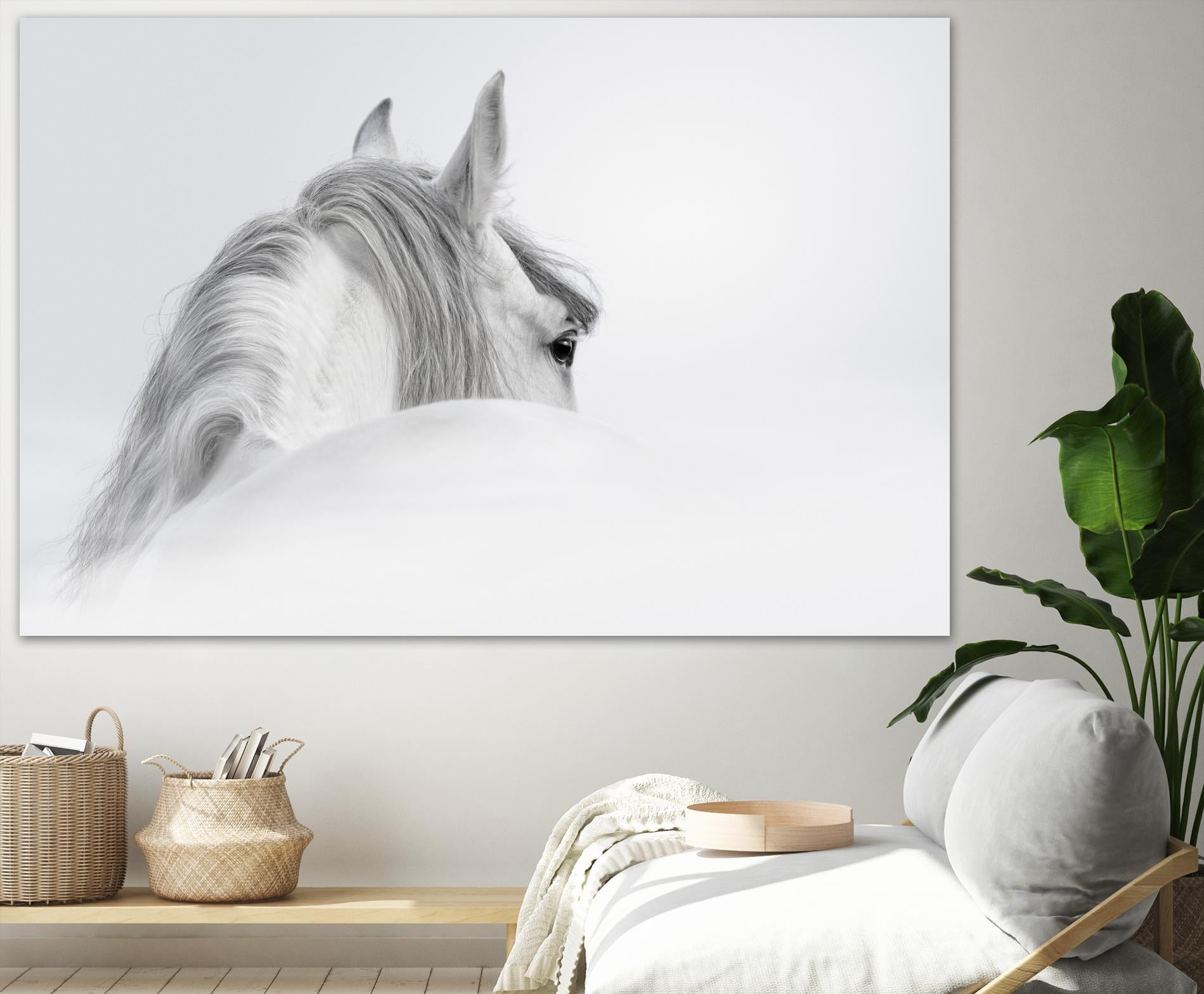 White Horse by PhotoINC Studio on GIANT ART - multicolor animals