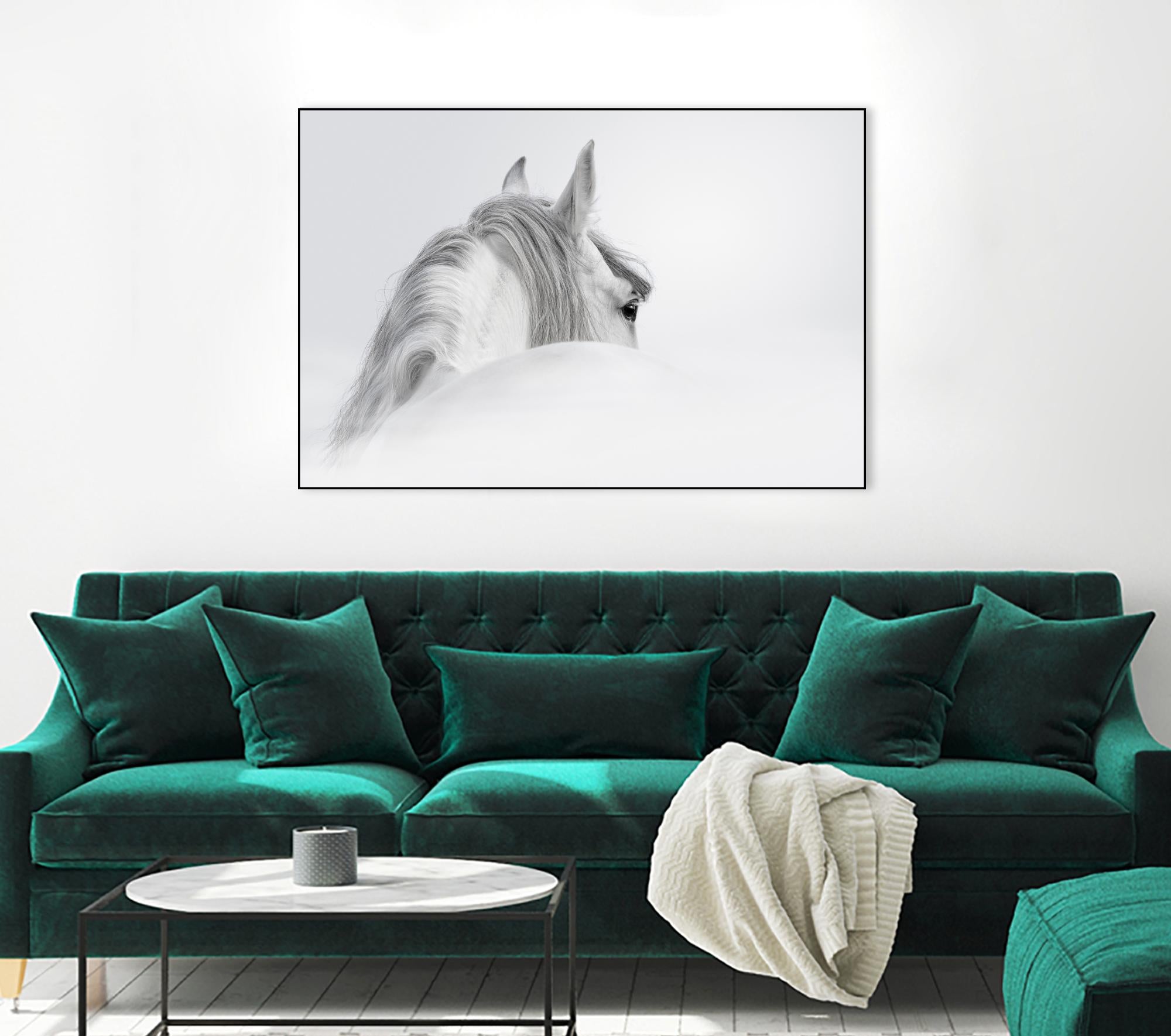 White Horse by PhotoINC Studio on GIANT ART - multicolor animals