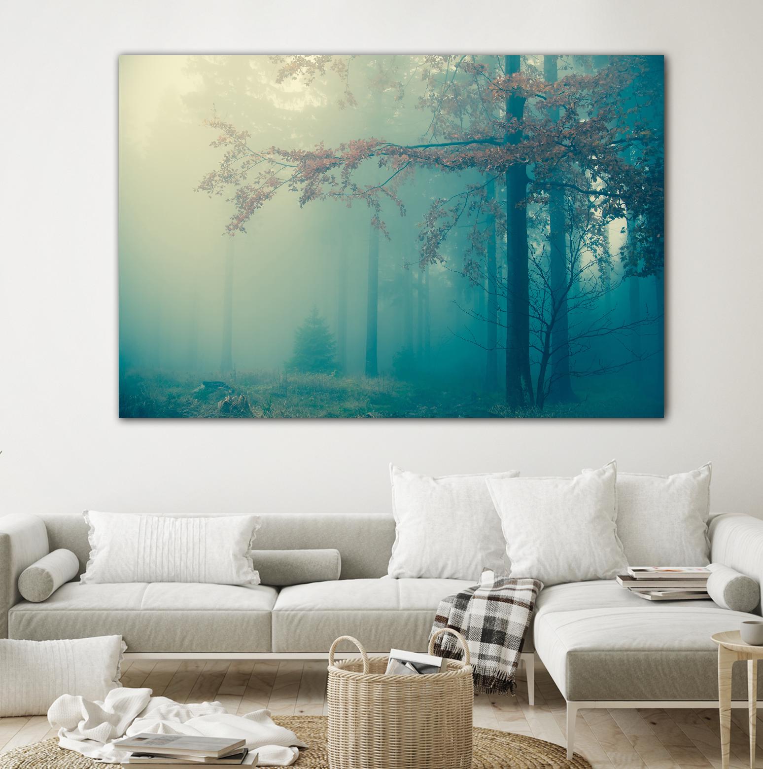Woods by PhotoINC Studio on GIANT ART - multicolor photography; landscapes