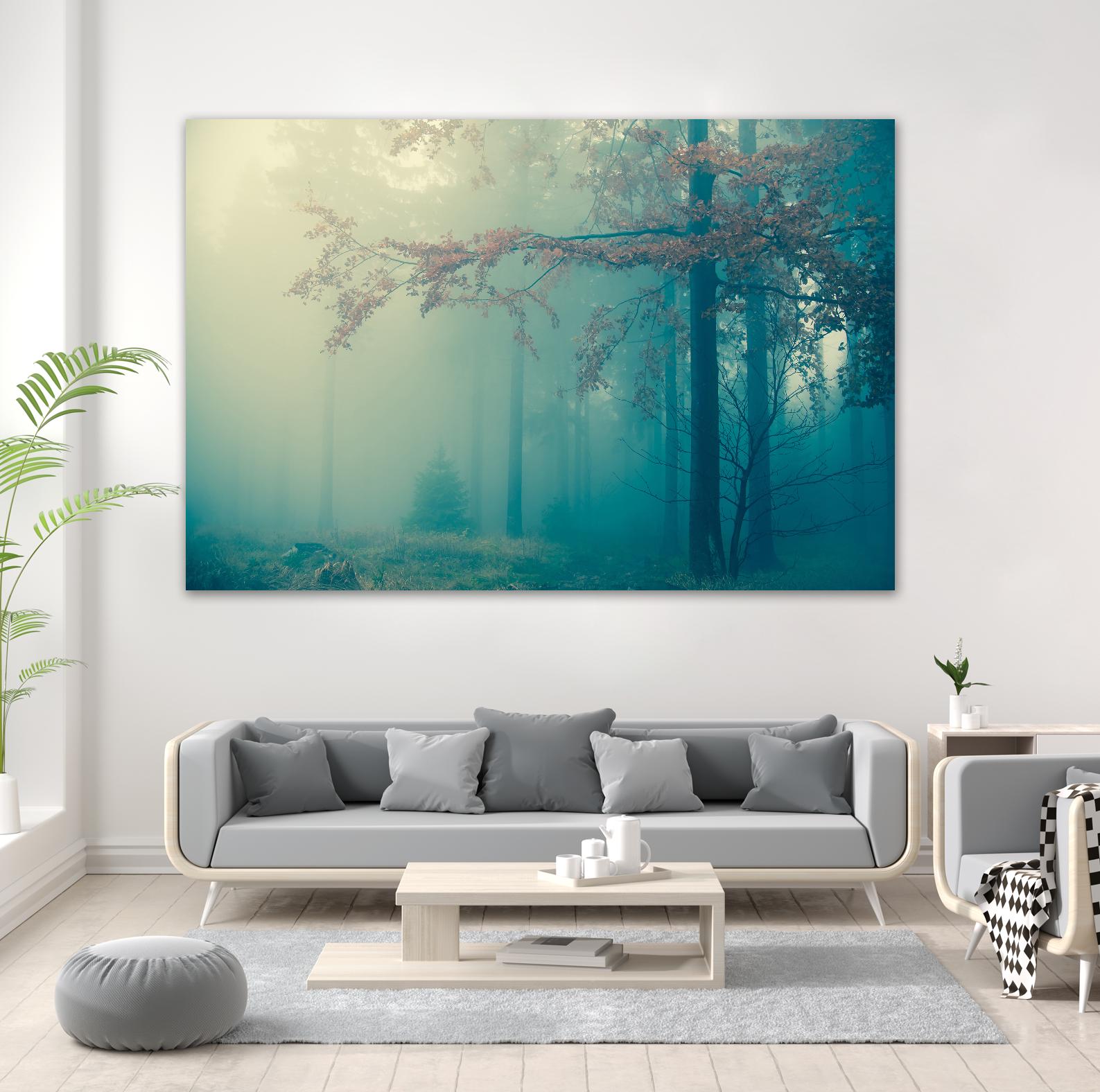 Woods by PhotoINC Studio on GIANT ART - multicolor photography; landscapes