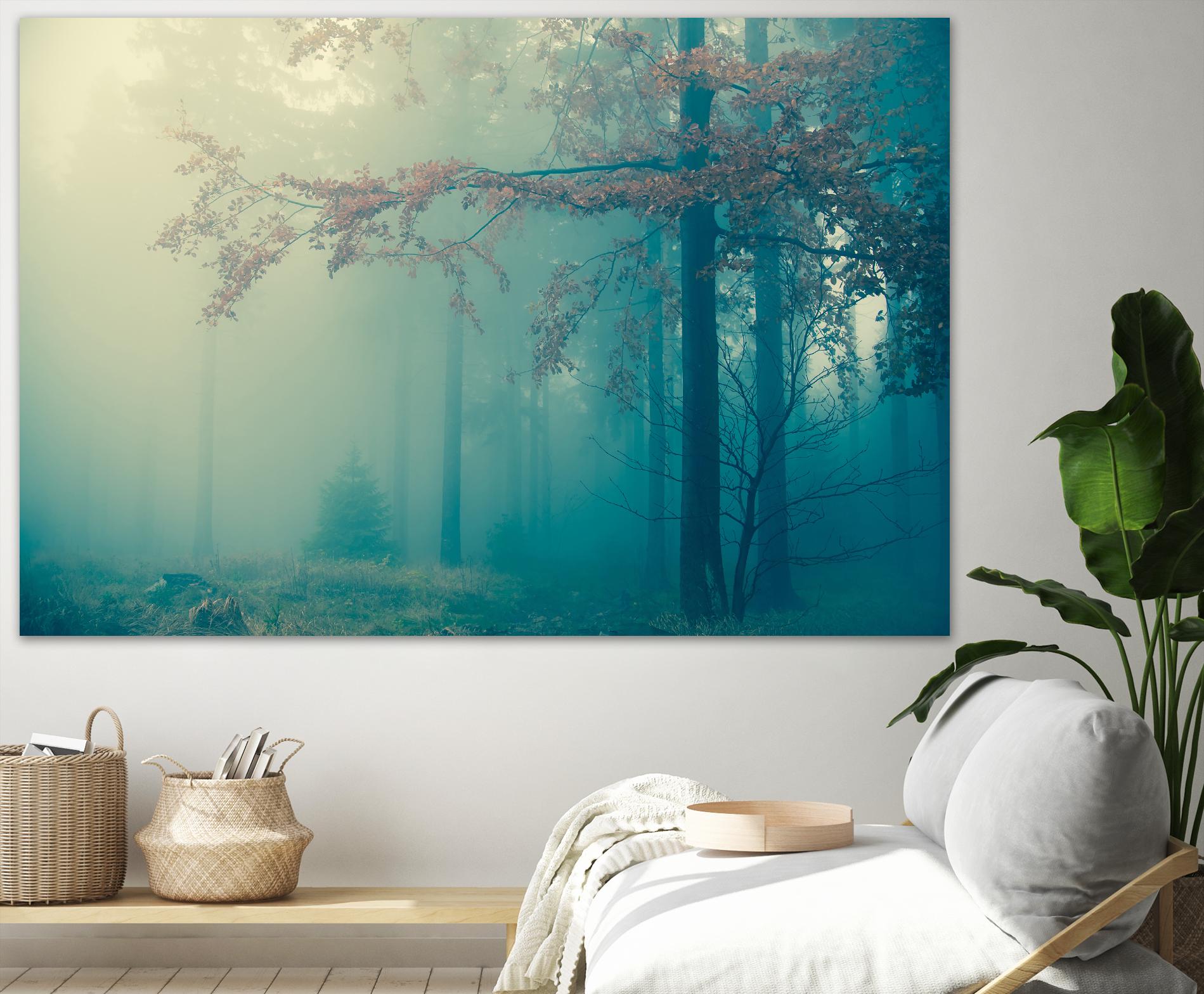 Woods by PhotoINC Studio on GIANT ART - multicolor photography; landscapes