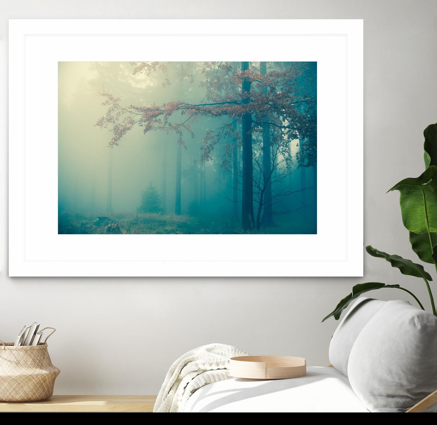 Woods by PhotoINC Studio on GIANT ART - multicolor photography; landscapes