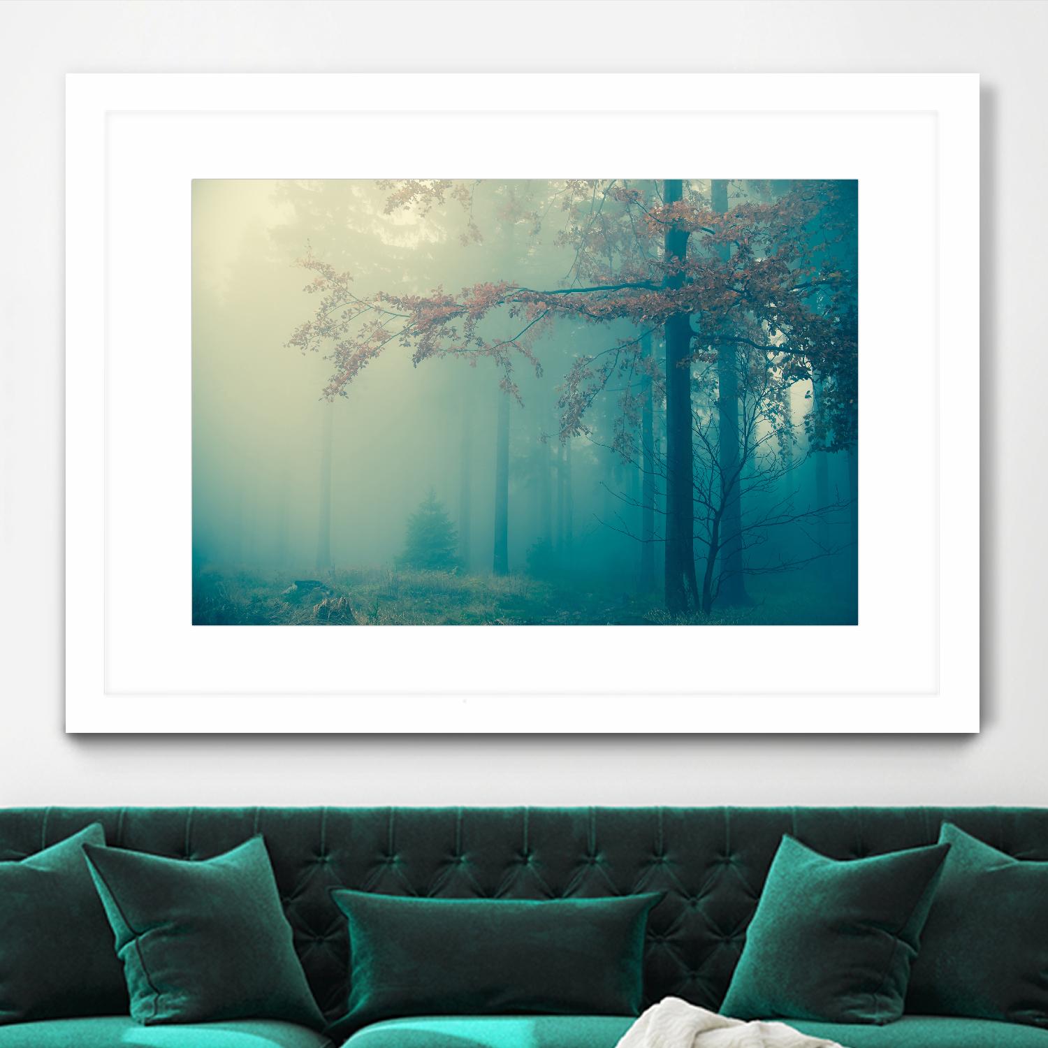 Woods by PhotoINC Studio on GIANT ART - multicolor photography; landscapes