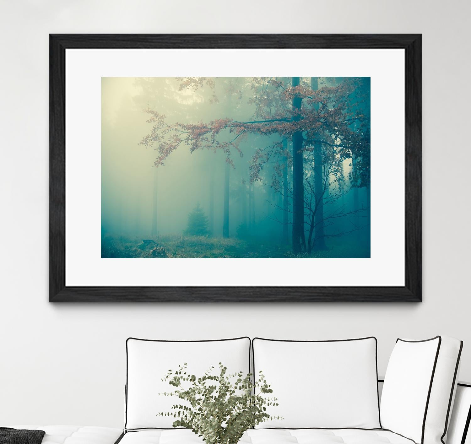 Woods by PhotoINC Studio on GIANT ART - multicolor photography; landscapes