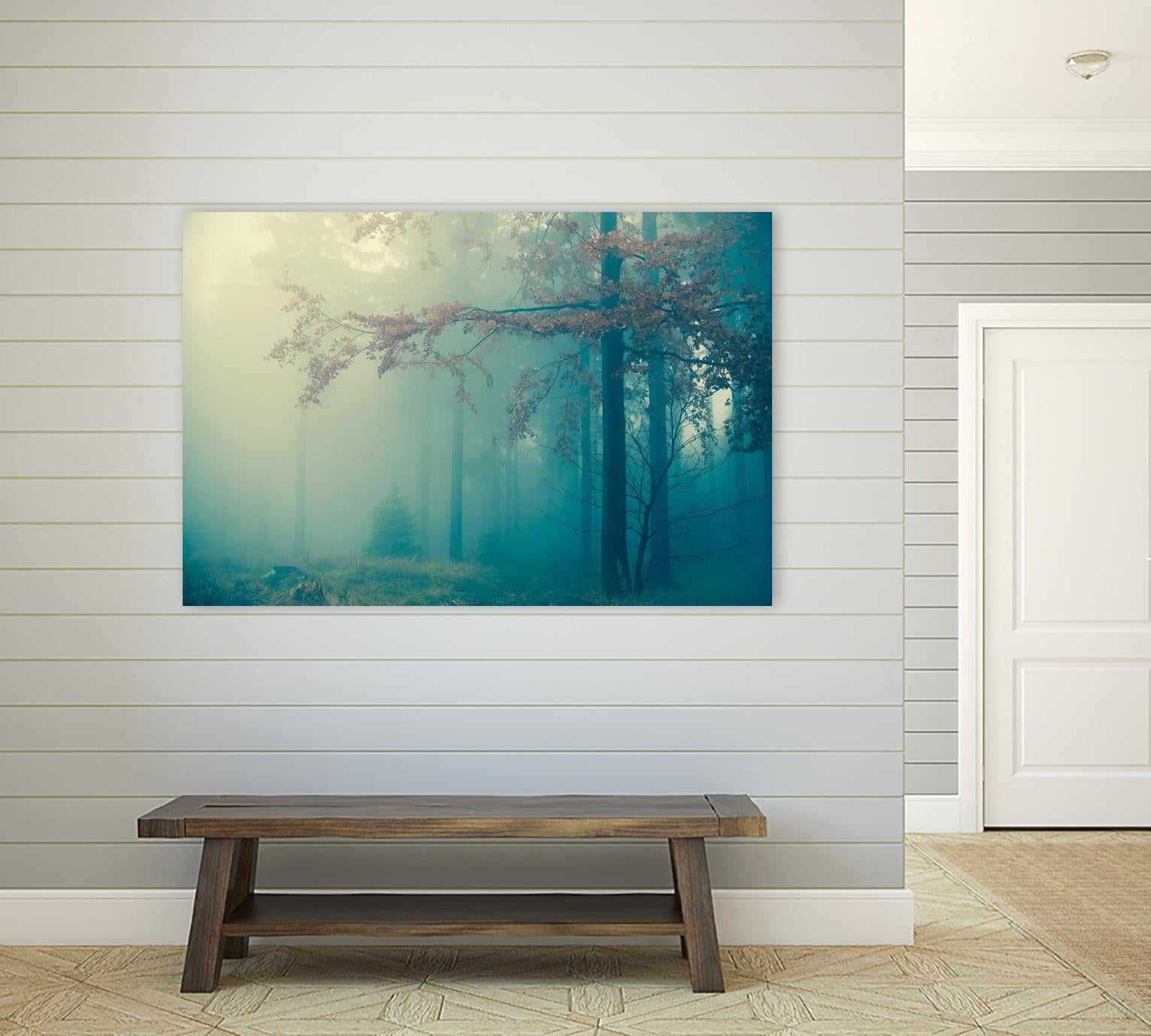 Woods by PhotoINC Studio on GIANT ART - multicolor photography; landscapes