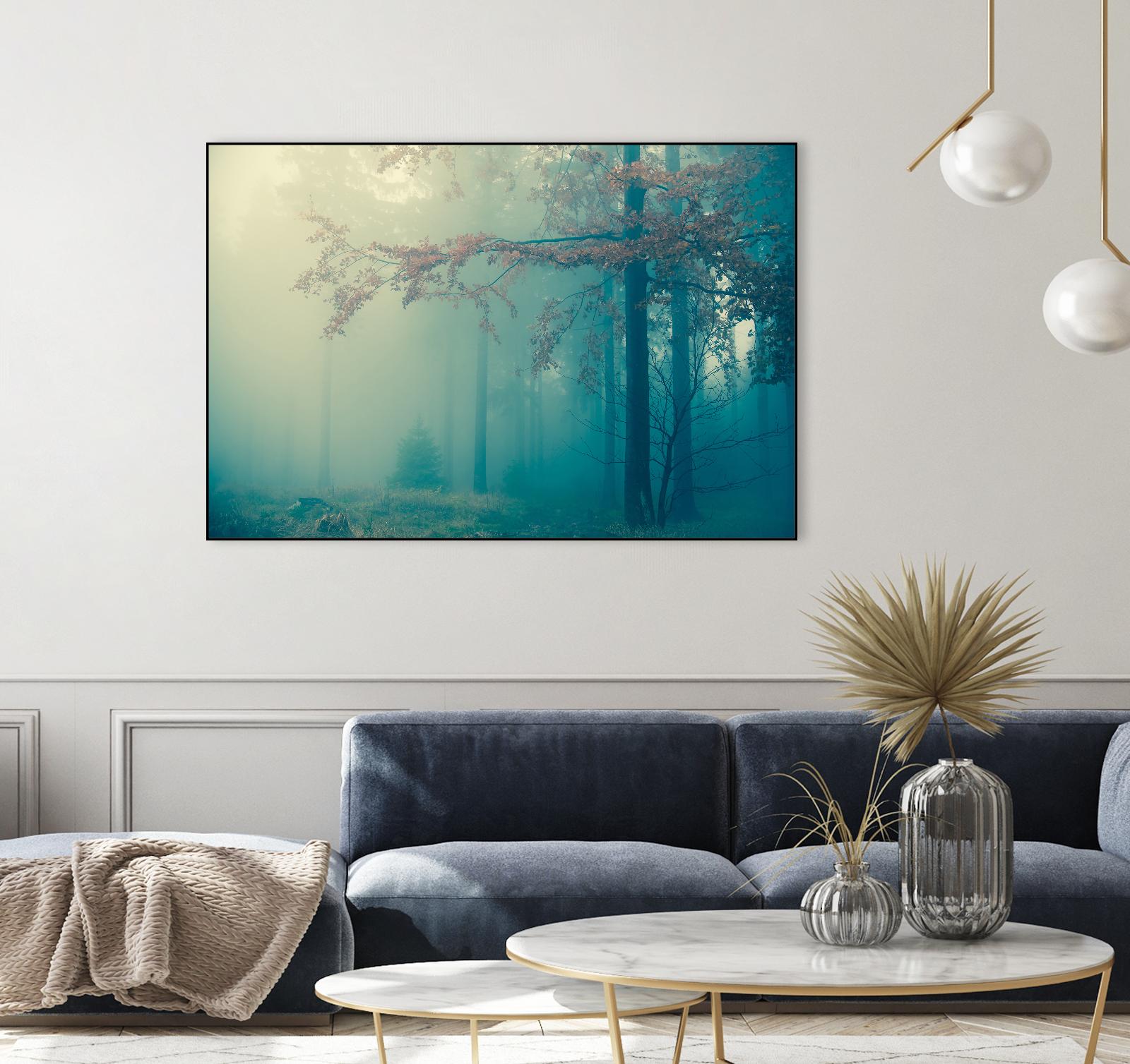 Woods by PhotoINC Studio on GIANT ART - multicolor photography; landscapes