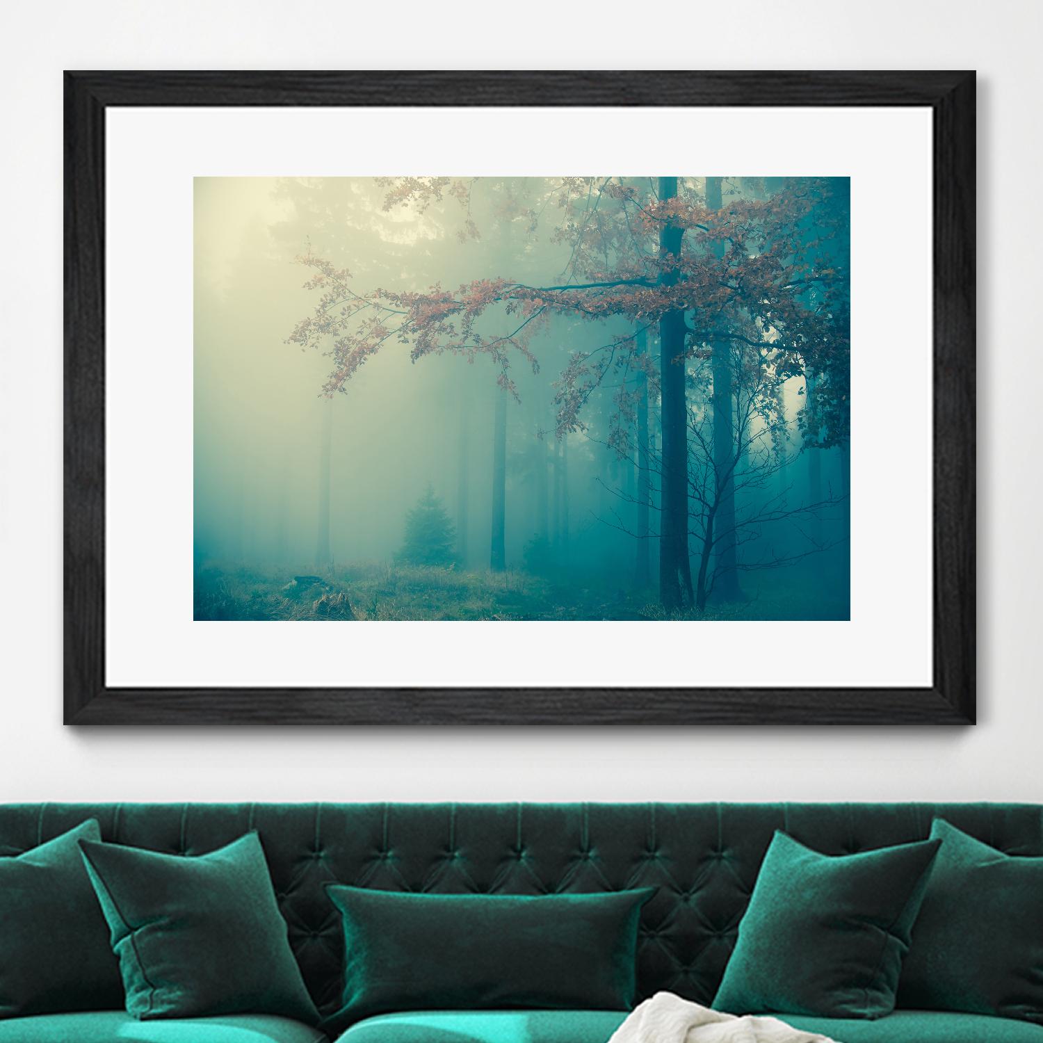 Woods by PhotoINC Studio on GIANT ART - multicolor photography; landscapes