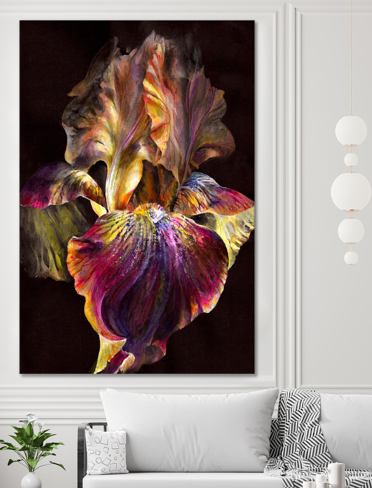 Iris by PhotoINC Studio on GIANT ART - multicolor photography; floral/still life