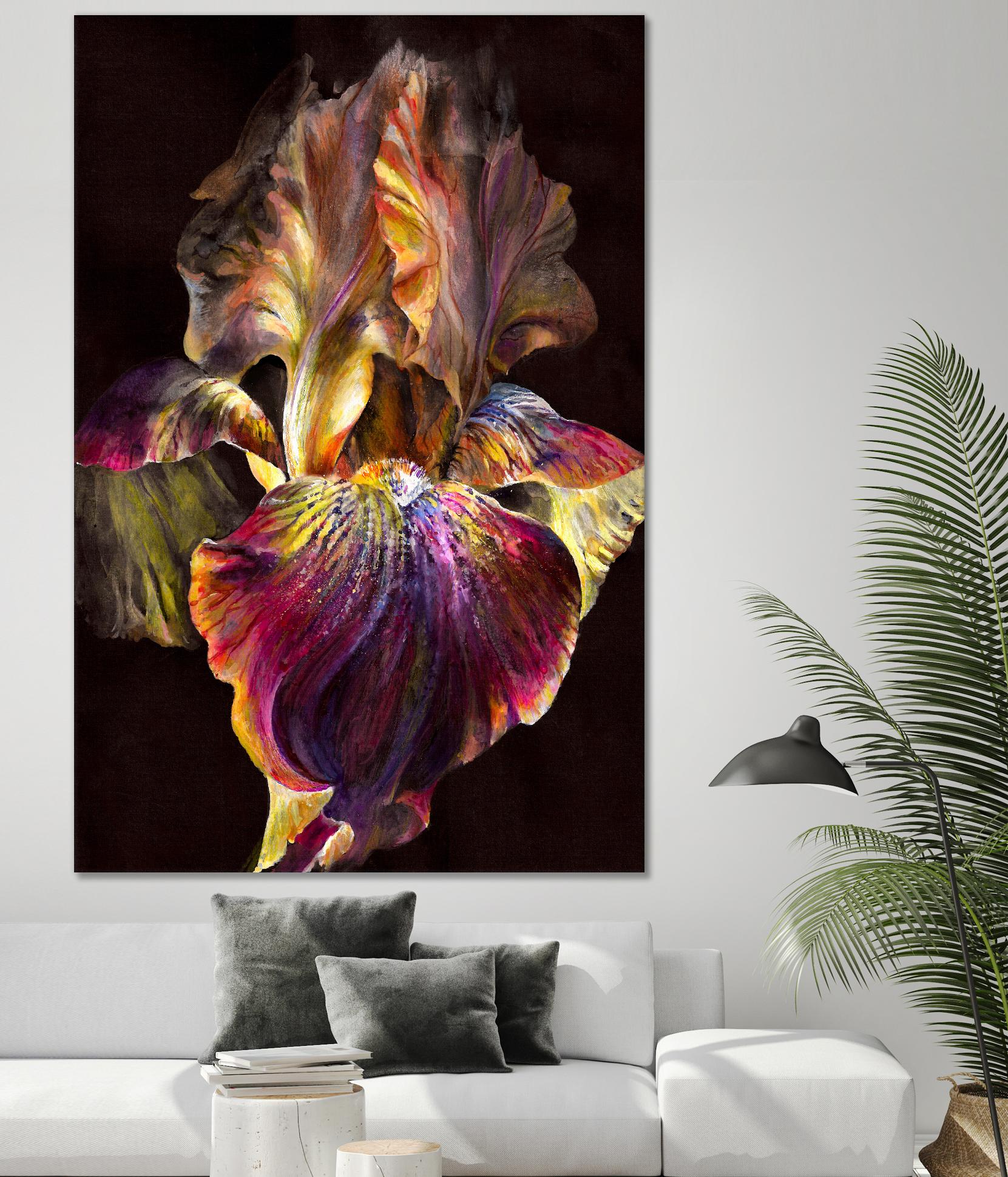 Iris by PhotoINC Studio on GIANT ART - multicolor photography; floral/still life