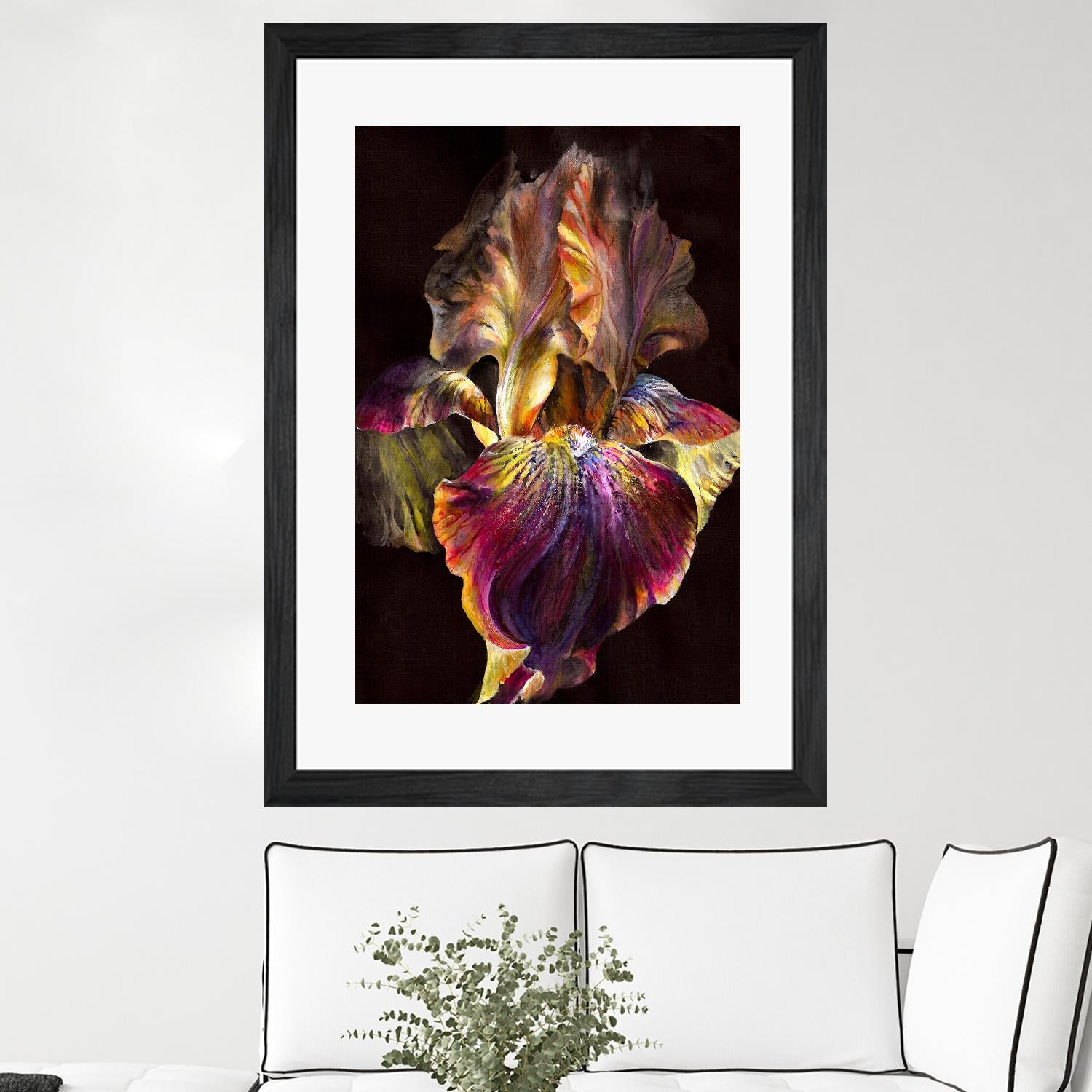 Iris by PhotoINC Studio on GIANT ART - multicolor photography; floral/still life