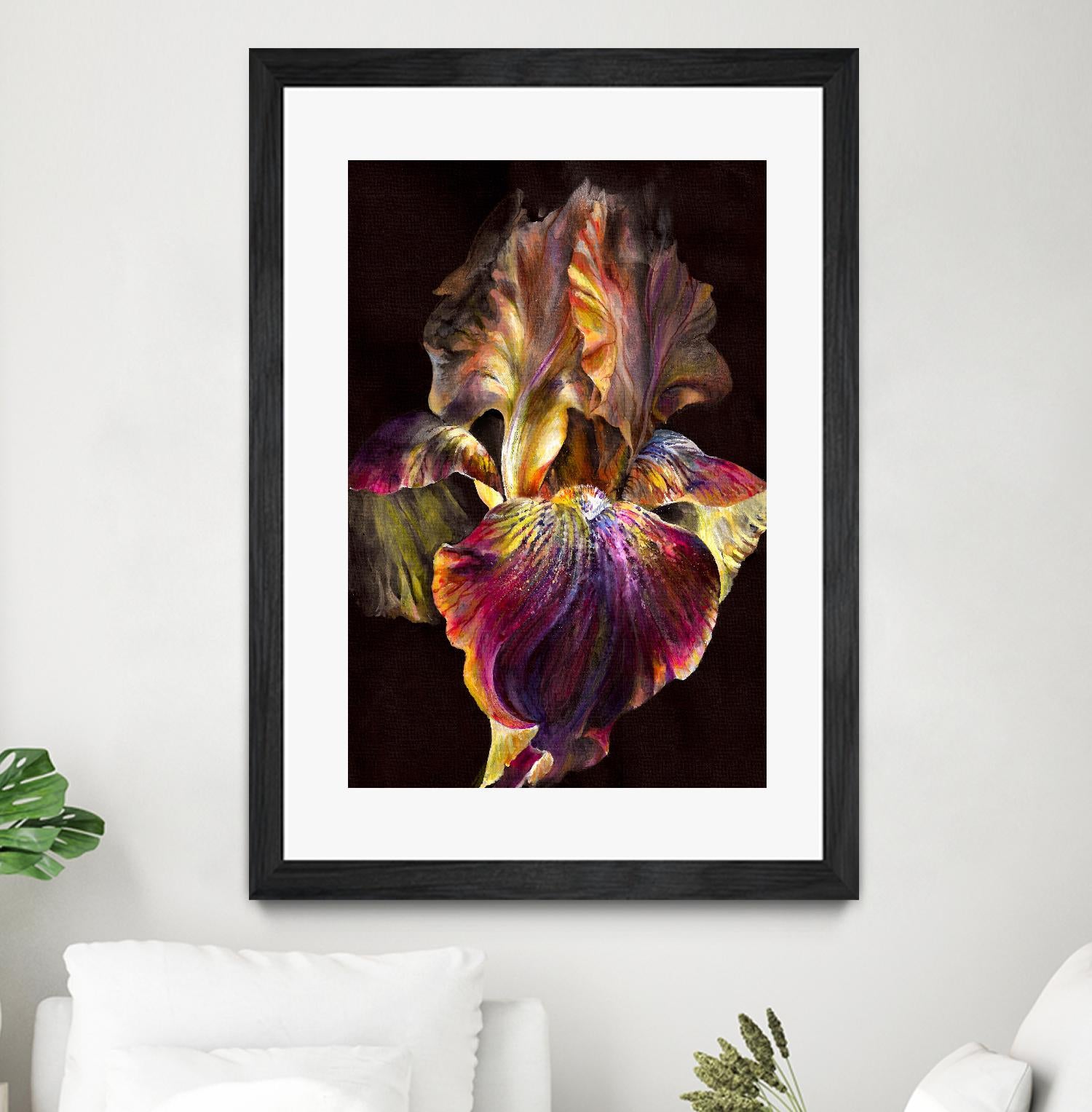 Iris by PhotoINC Studio on GIANT ART - multicolor photography; floral/still life