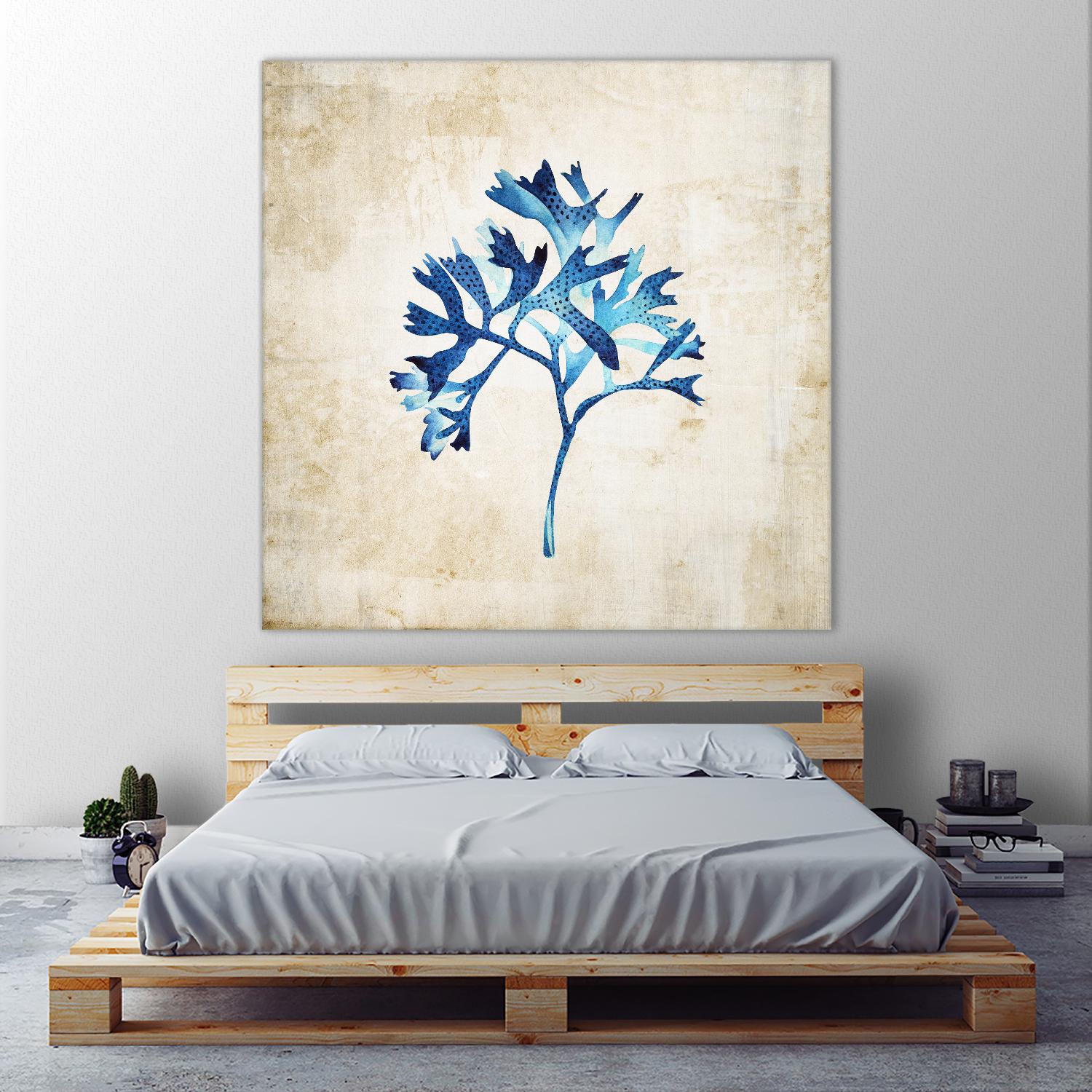 Sea life I by Incado on GIANT ART - multicolor floral/still life; contemporary