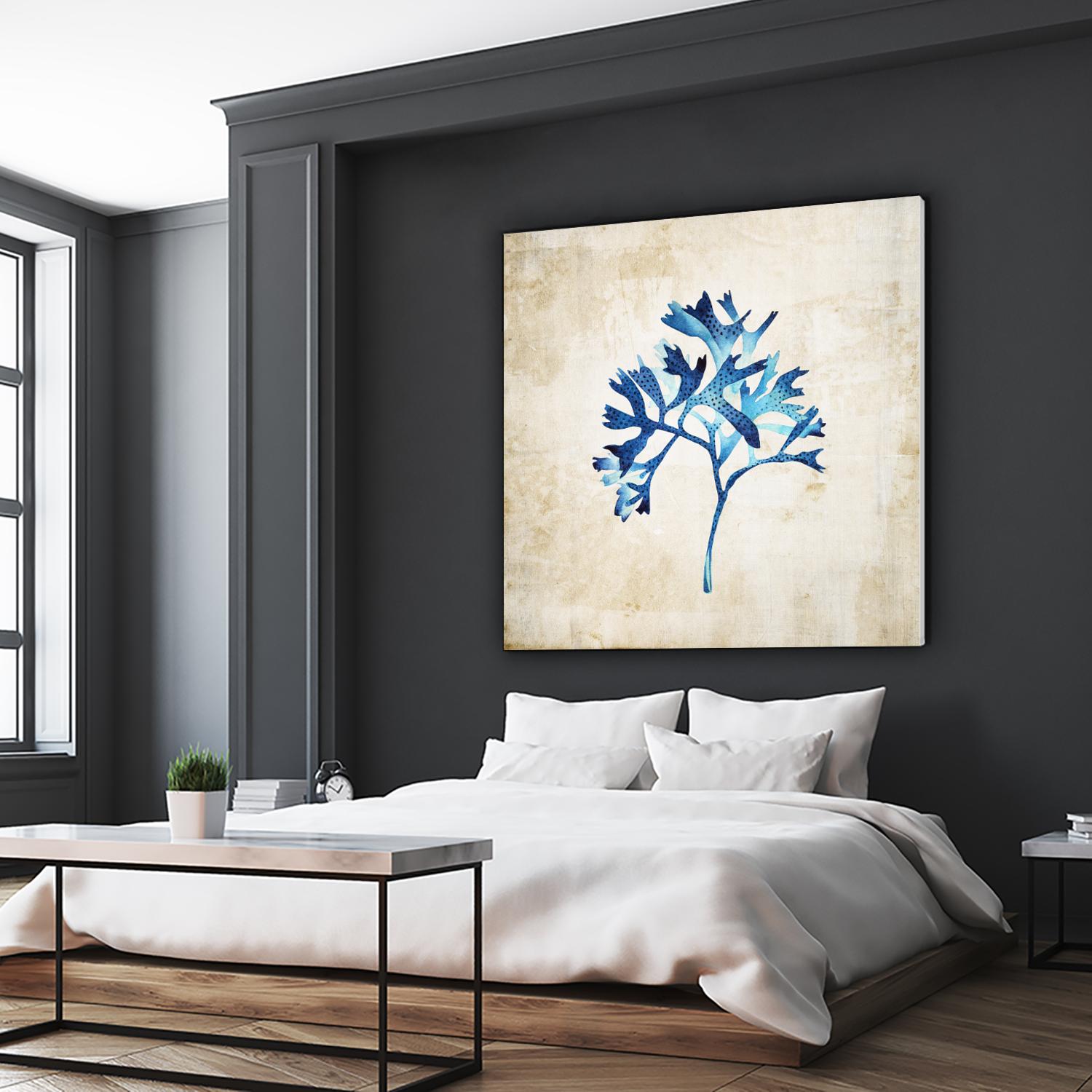 Sea life I by Incado on GIANT ART - multicolor floral/still life; contemporary