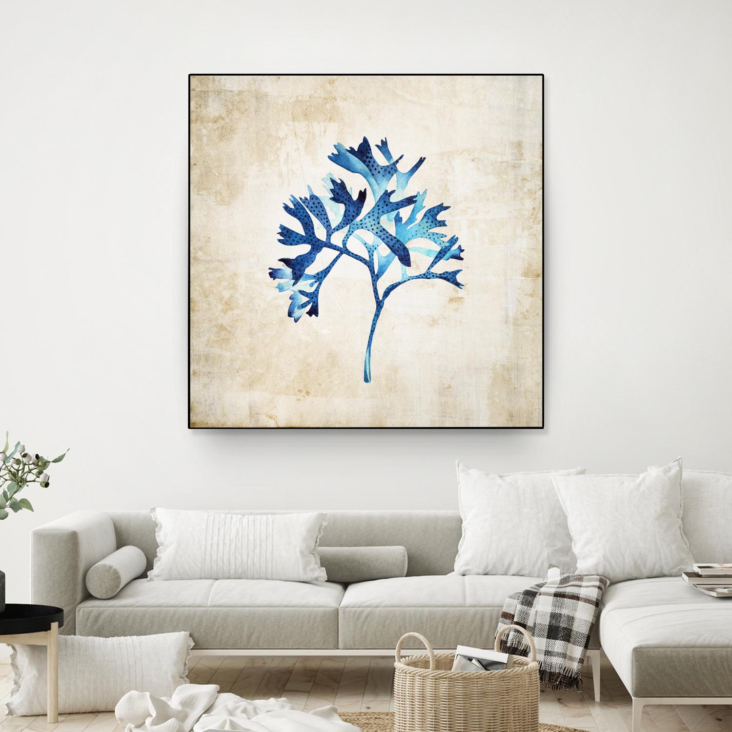 Sea life I by Incado on GIANT ART - multicolor floral/still life; contemporary