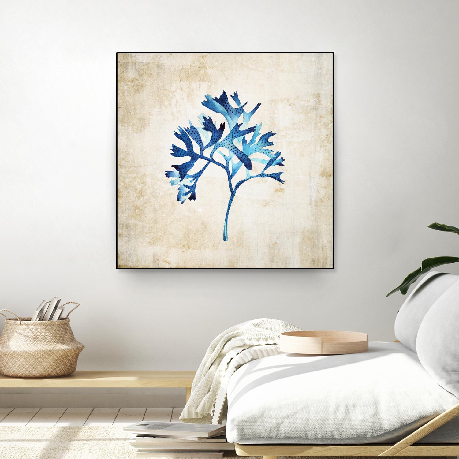 Sea life I by Incado on GIANT ART - multicolor floral/still life; contemporary