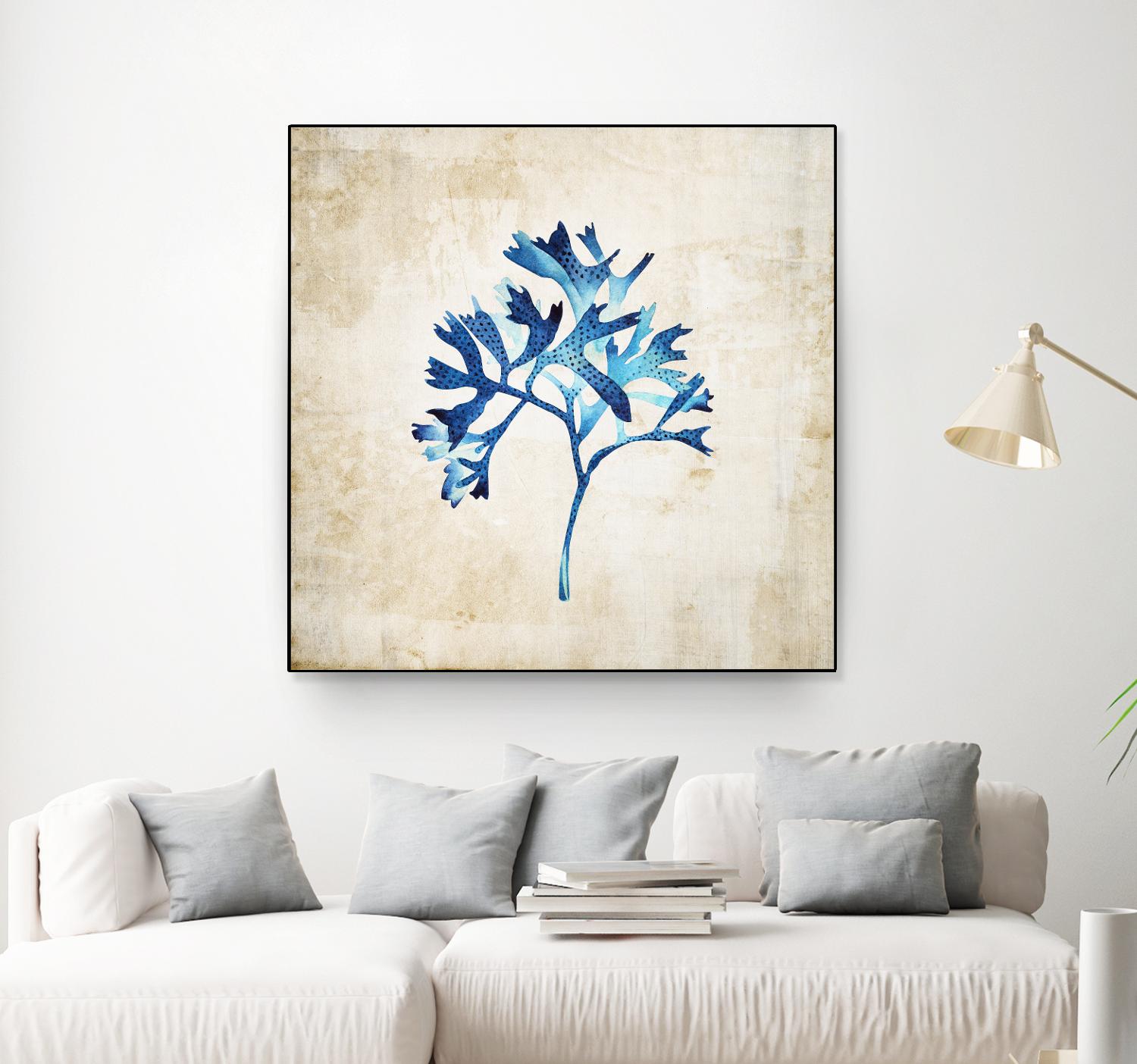 Sea life I by Incado on GIANT ART - multicolor floral/still life; contemporary