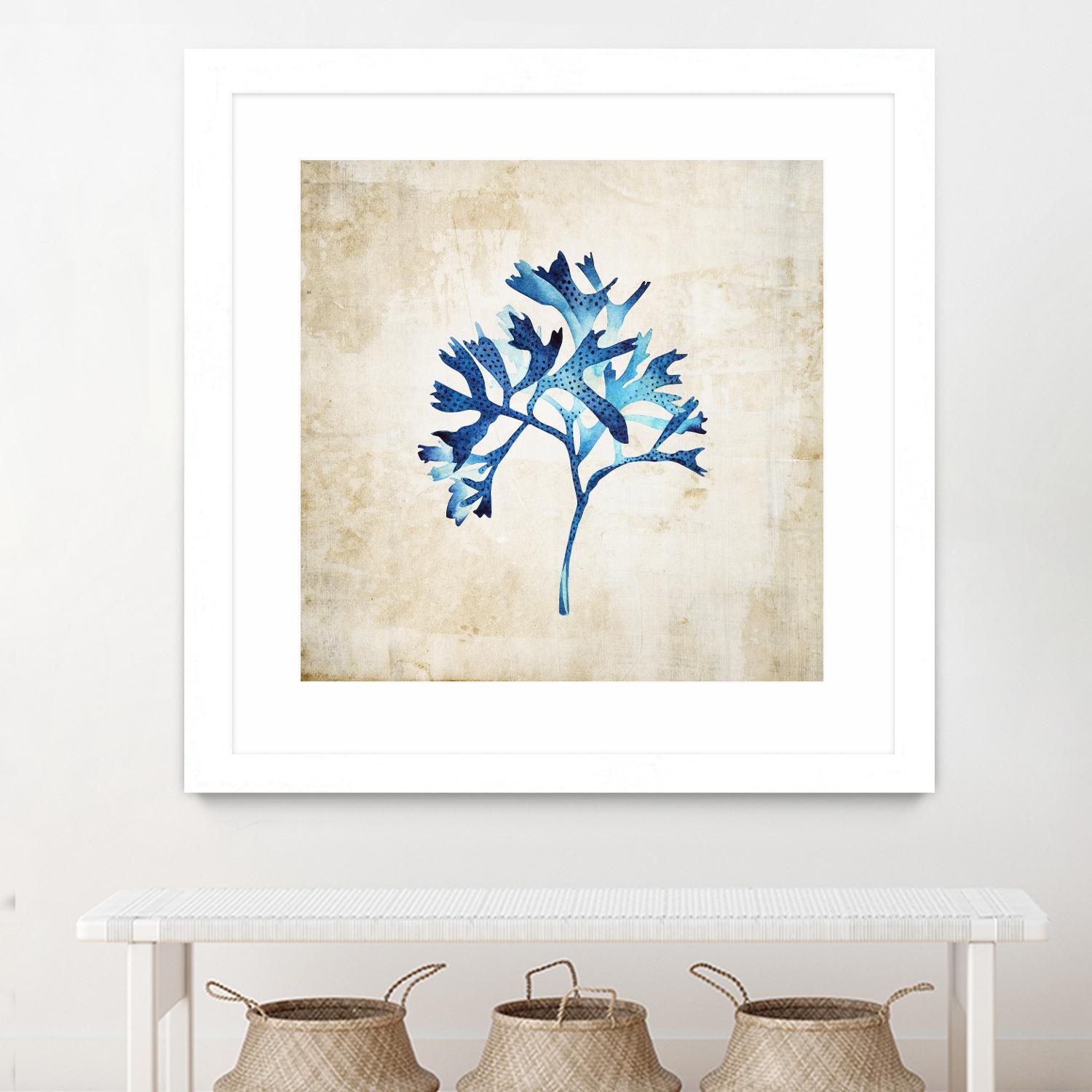 Sea life I by Incado on GIANT ART - multicolor floral/still life; contemporary