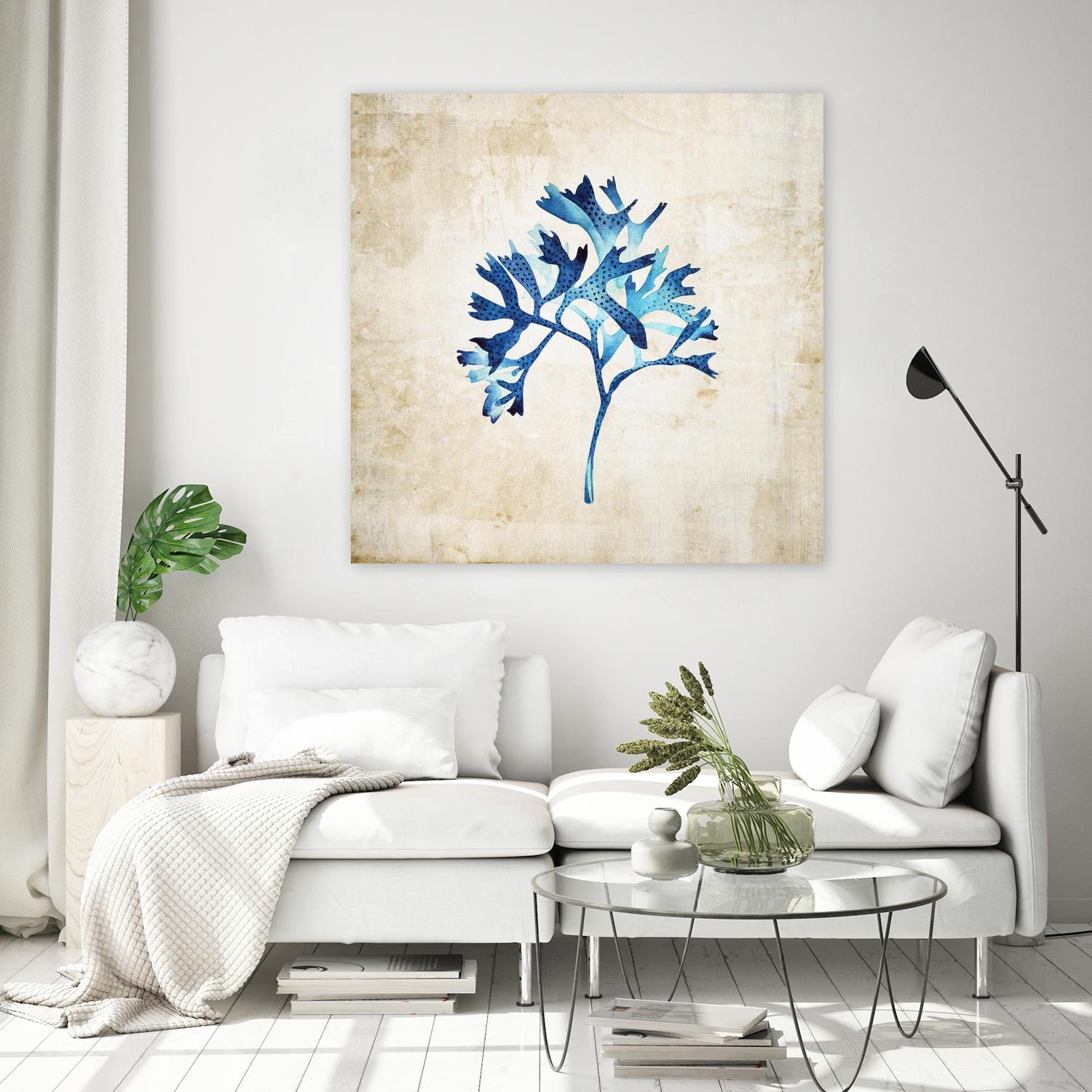 Sea life I by Incado on GIANT ART - multicolor floral/still life; contemporary