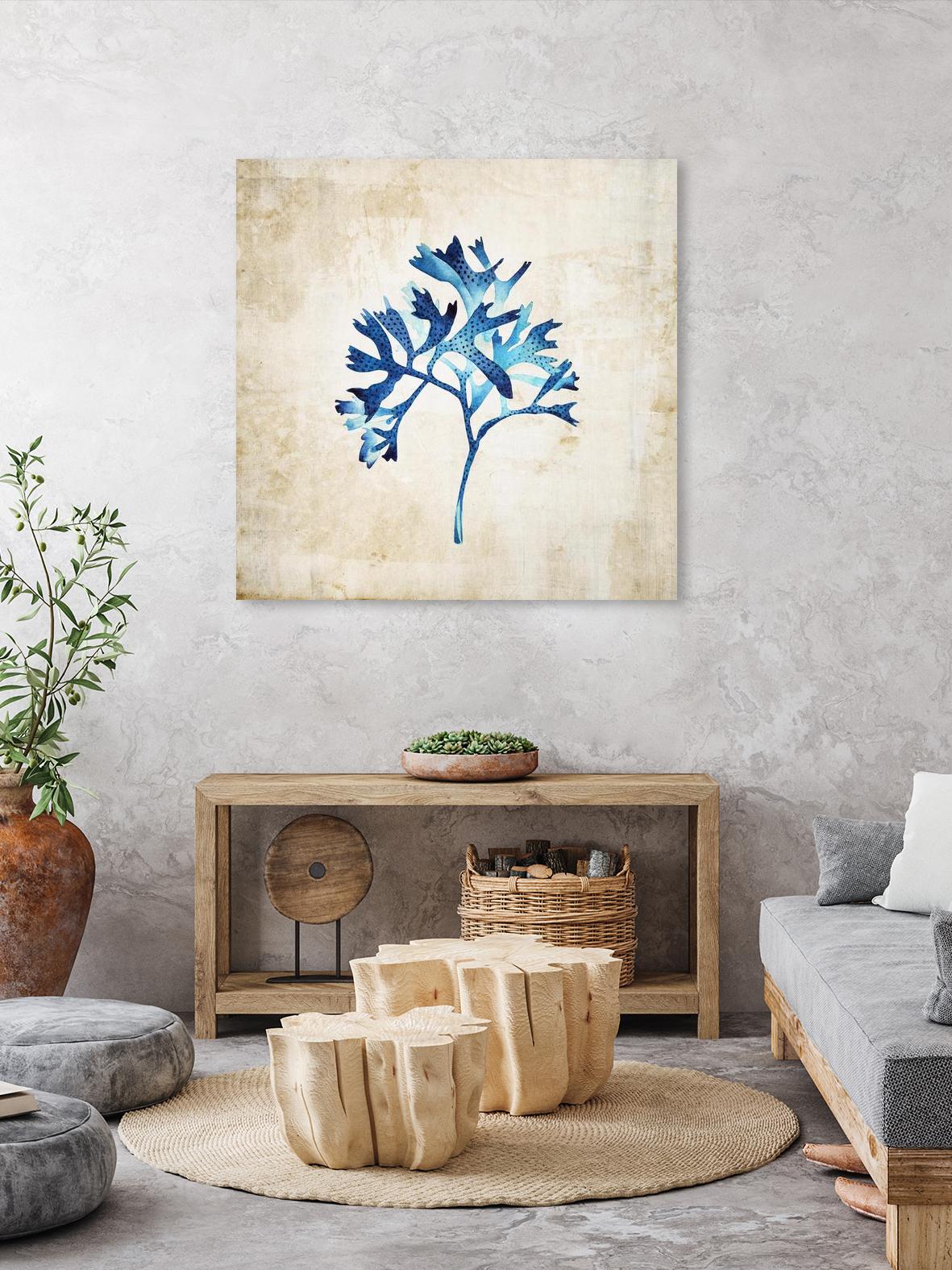 Sea life I by Incado on GIANT ART - multicolor floral/still life; contemporary