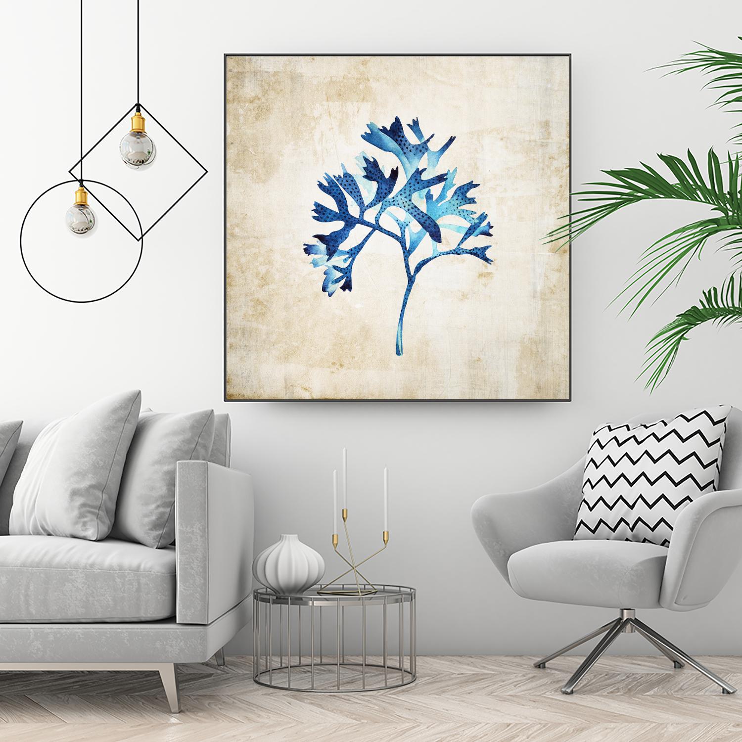 Sea life I by Incado on GIANT ART - multicolor floral/still life; contemporary