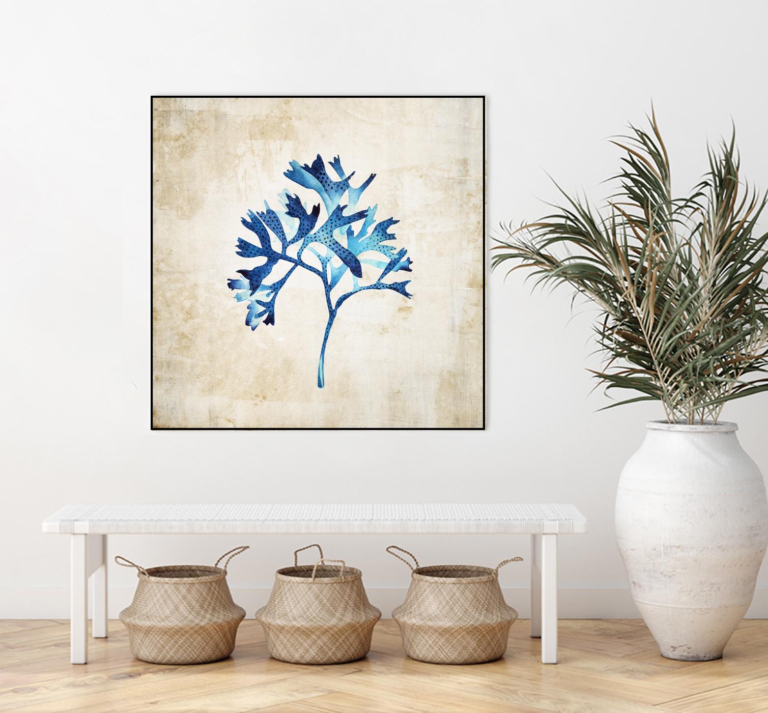 Sea life I by Incado on GIANT ART - multicolor floral/still life; contemporary