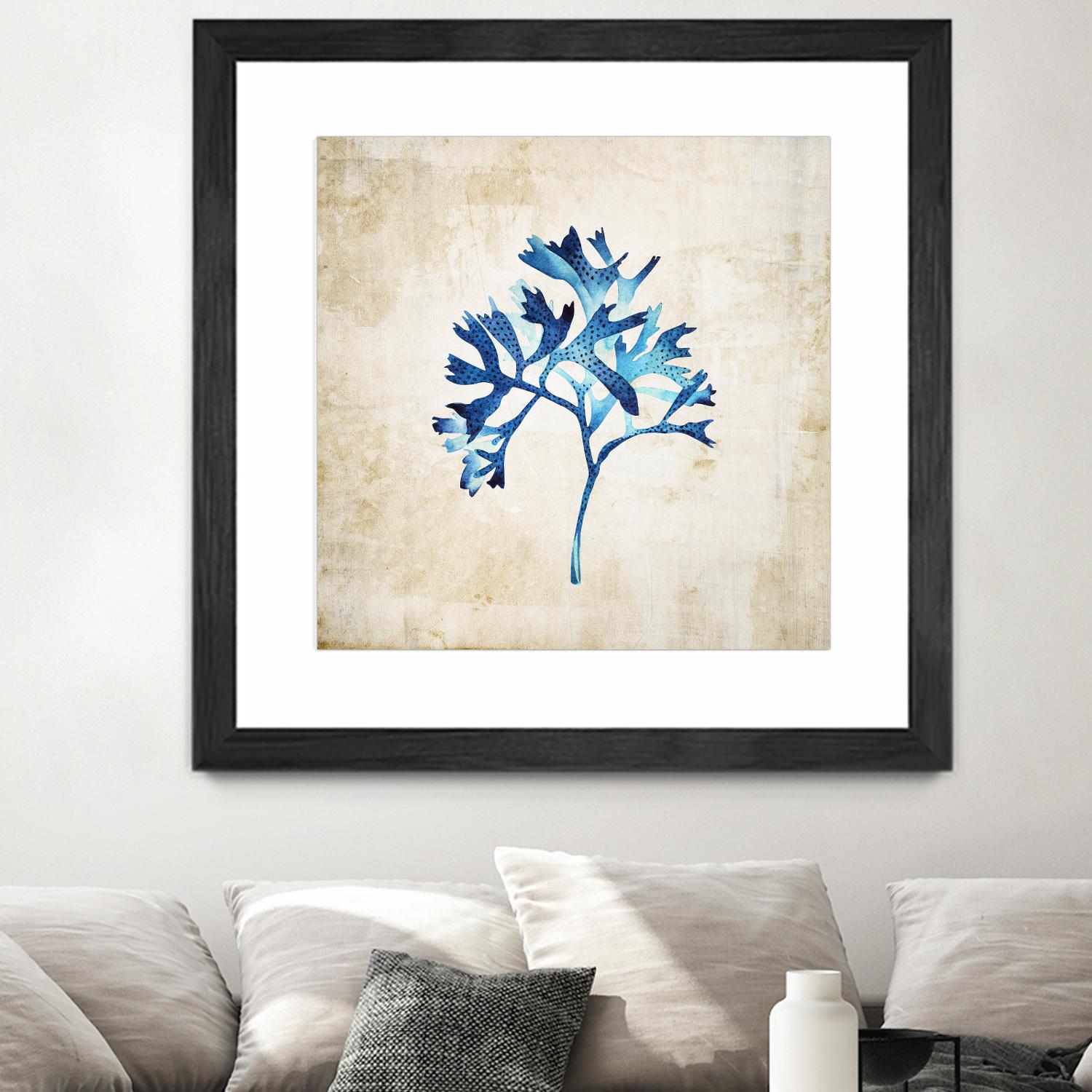 Sea life I by Incado on GIANT ART - multicolor floral/still life; contemporary