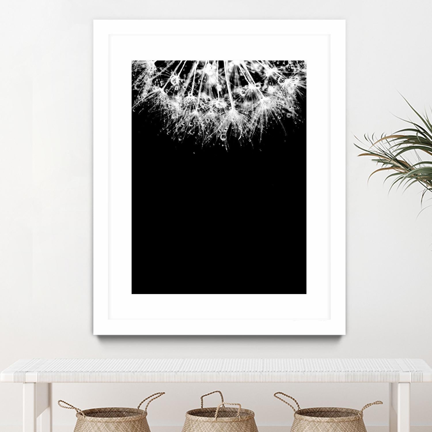 Crystal II by Incado on GIANT ART - multicolor photography; floral/still life