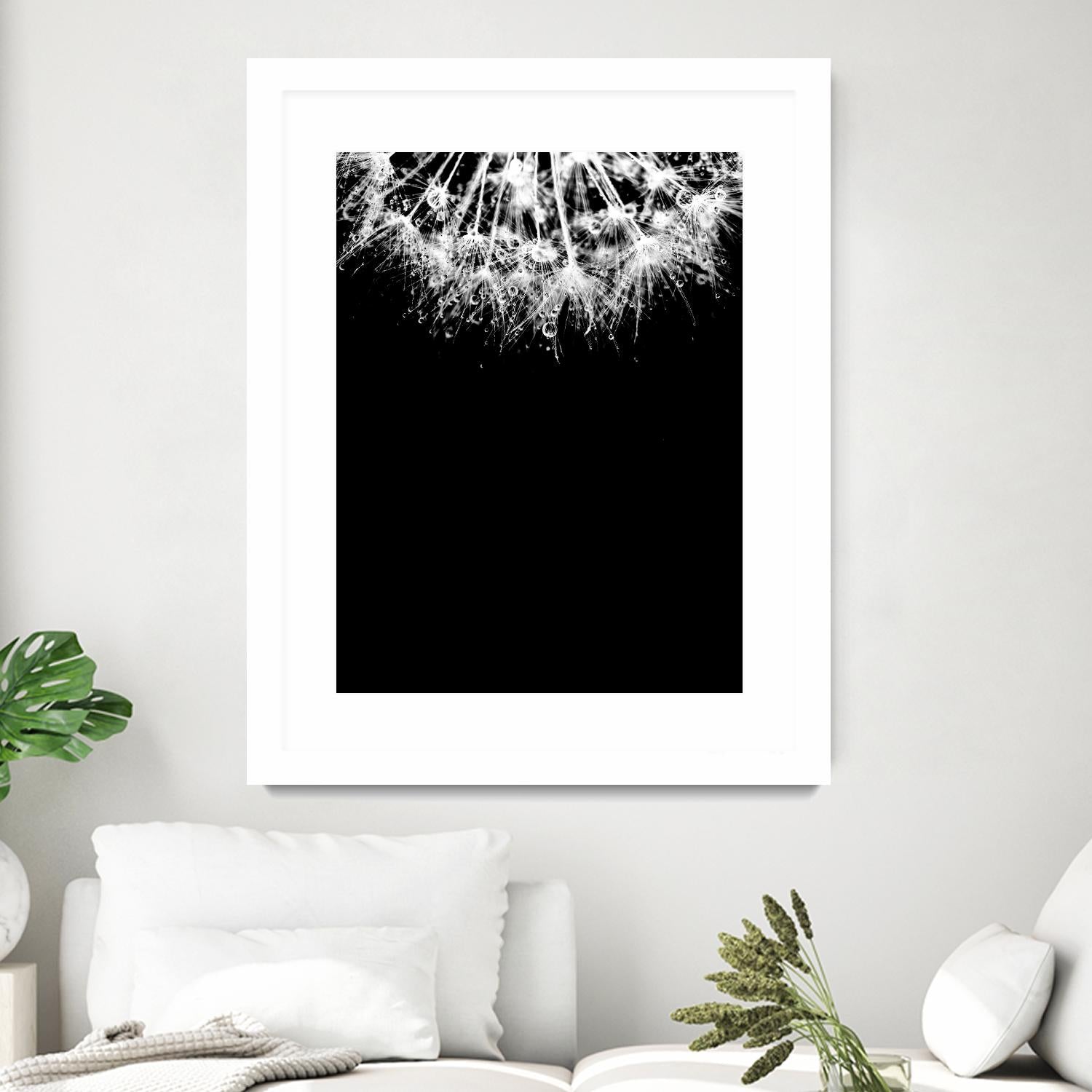 Crystal II by Incado on GIANT ART - multicolor photography; floral/still life