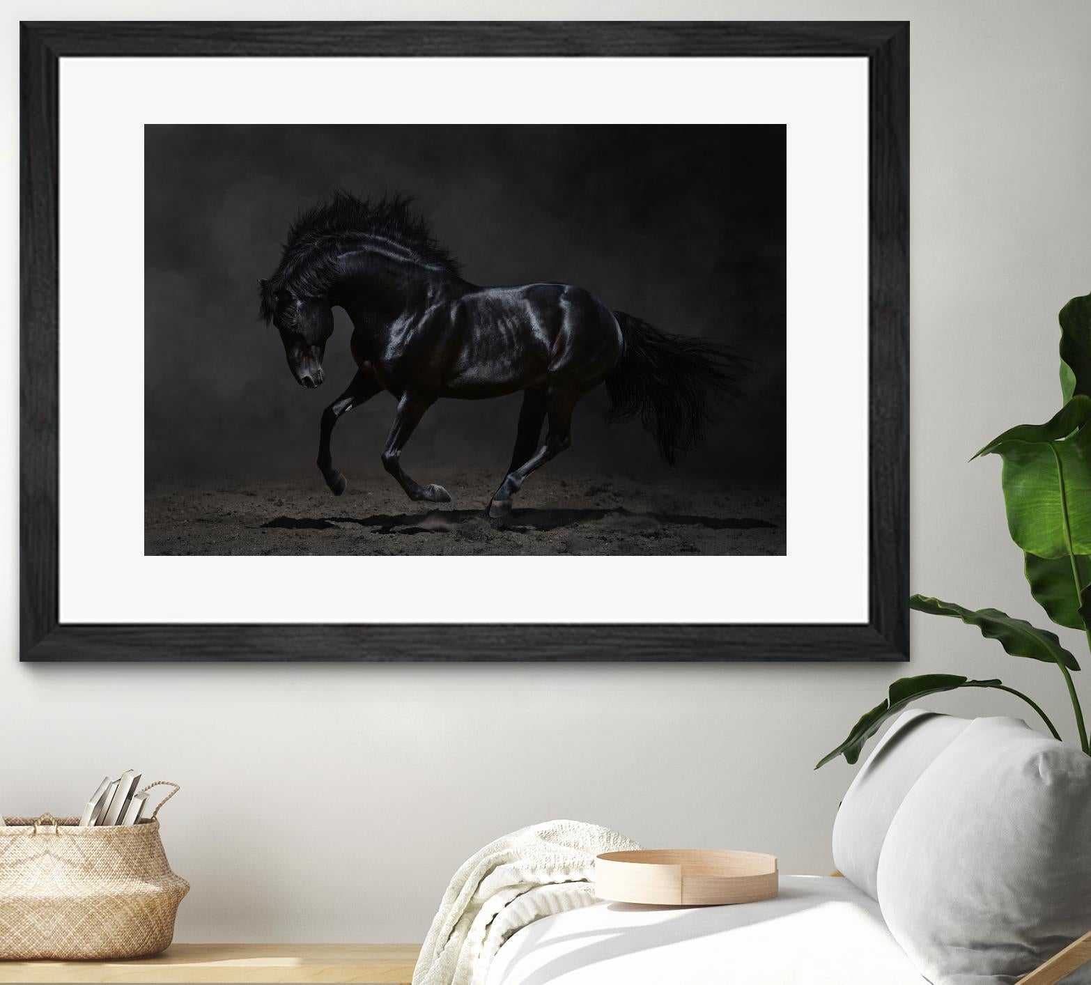 Onyx by PhotoINC Studio on GIANT ART - multicolor photography; animals