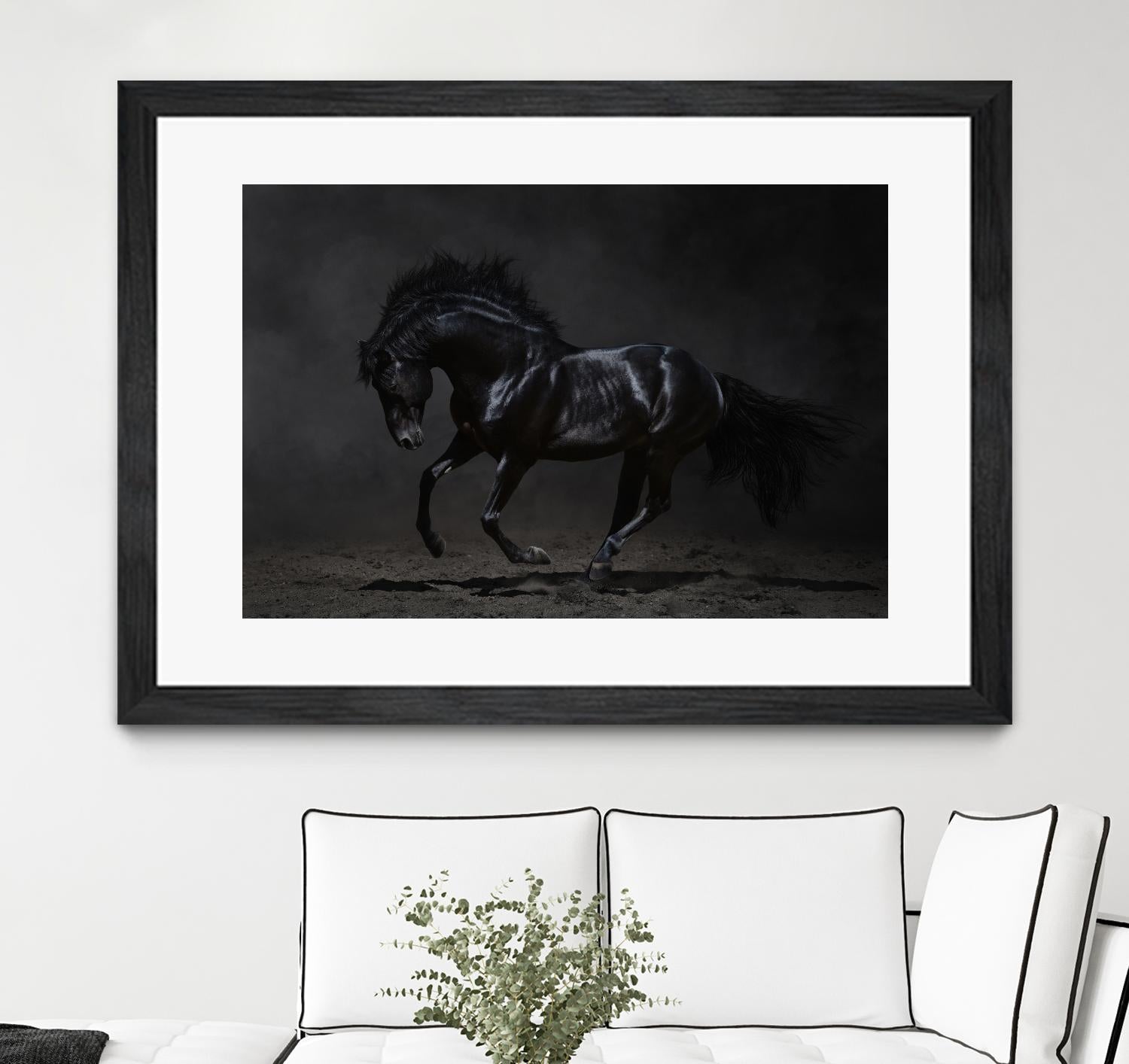 Onyx by PhotoINC Studio on GIANT ART - multicolor photography; animals