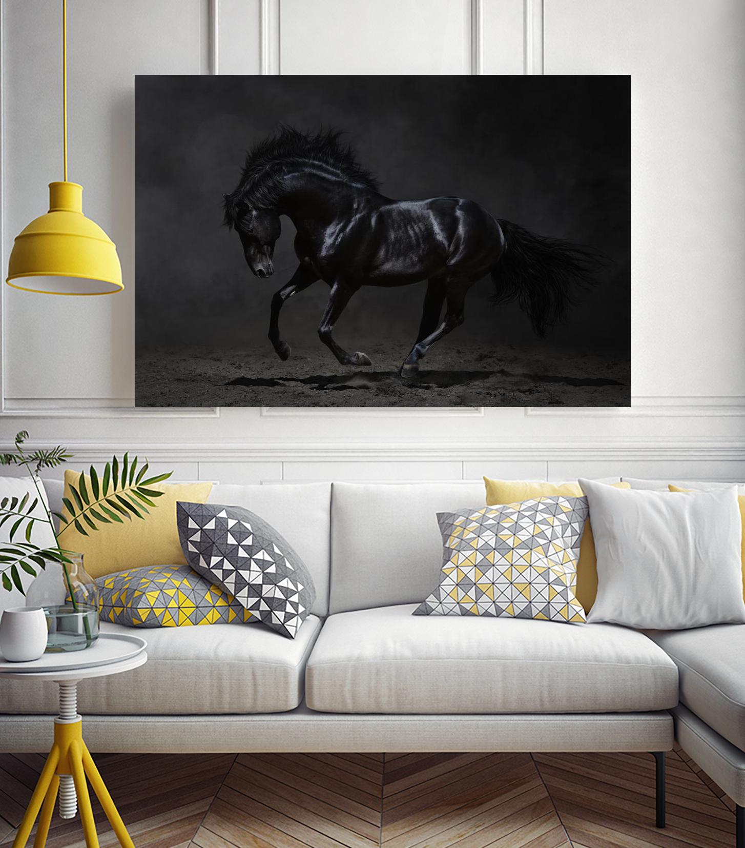 Onyx by PhotoINC Studio on GIANT ART - multicolor photography; animals