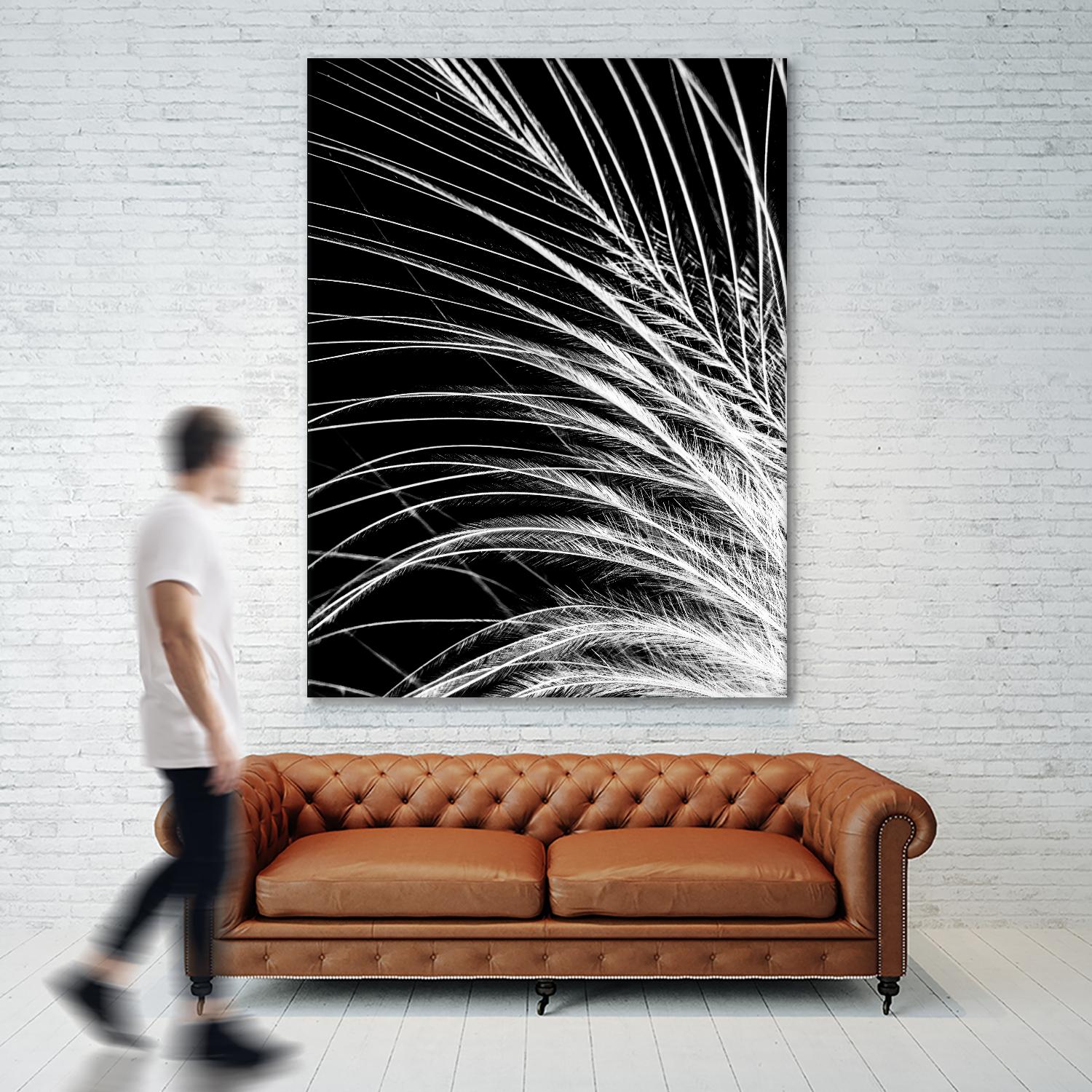 White Feather by Incado on GIANT ART - multicolor photography; floral/still life