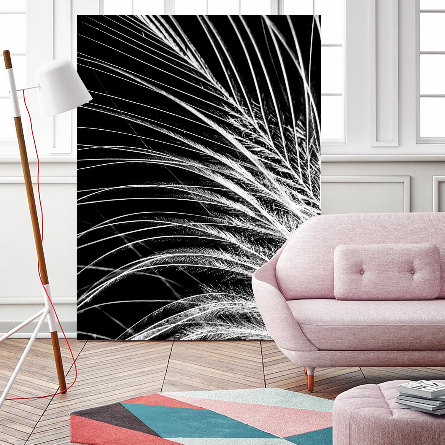 White Feather by Incado on GIANT ART - multicolor photography; floral/still life