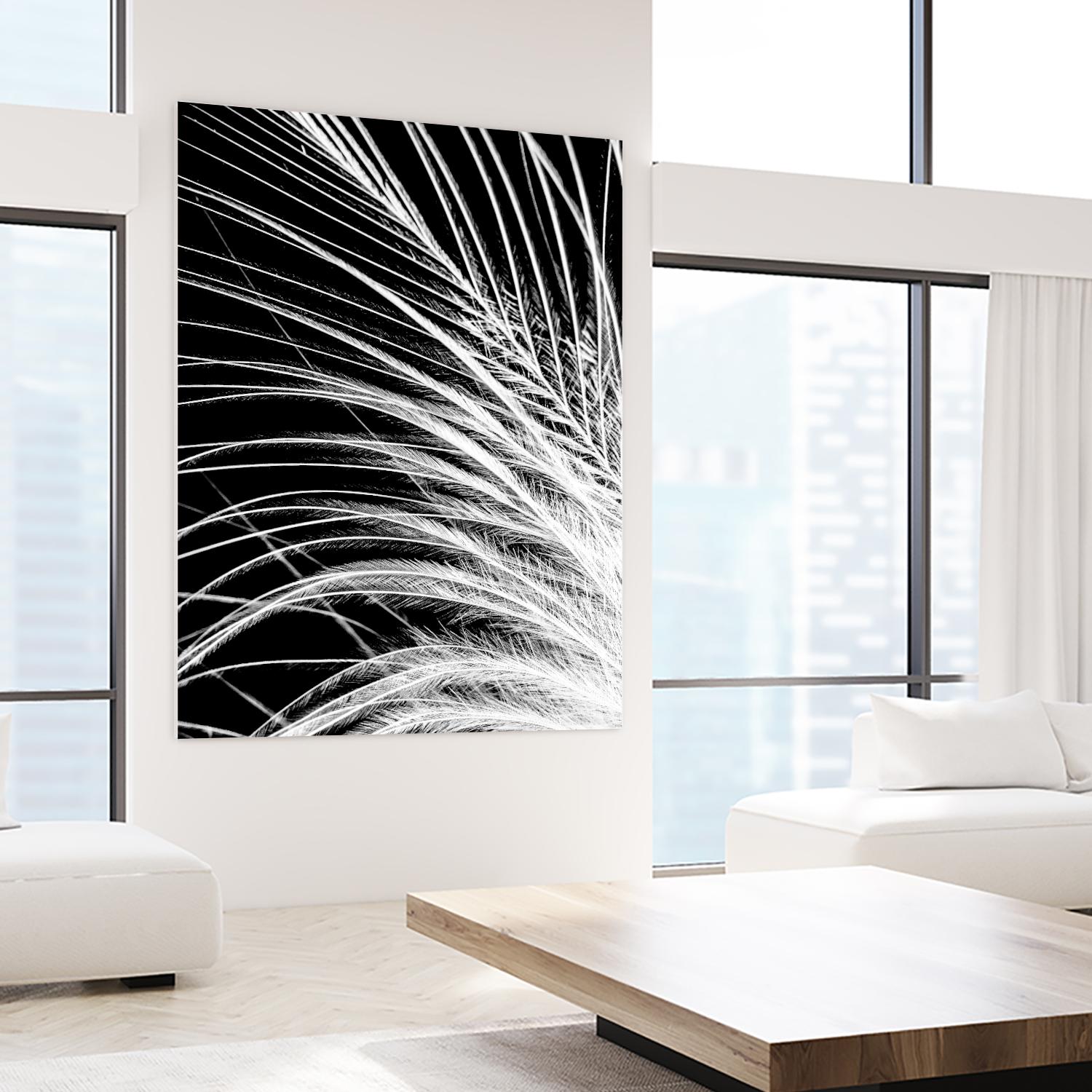 White Feather by Incado on GIANT ART - multicolor photography; floral/still life