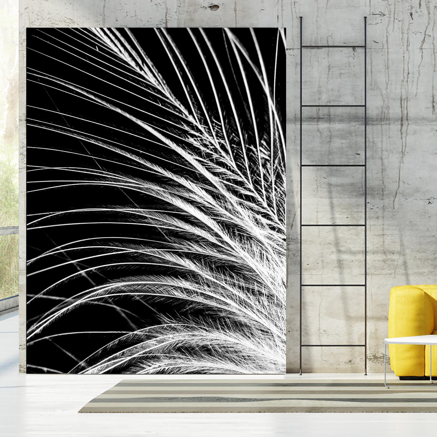 White Feather by Incado on GIANT ART - multicolor photography; floral/still life