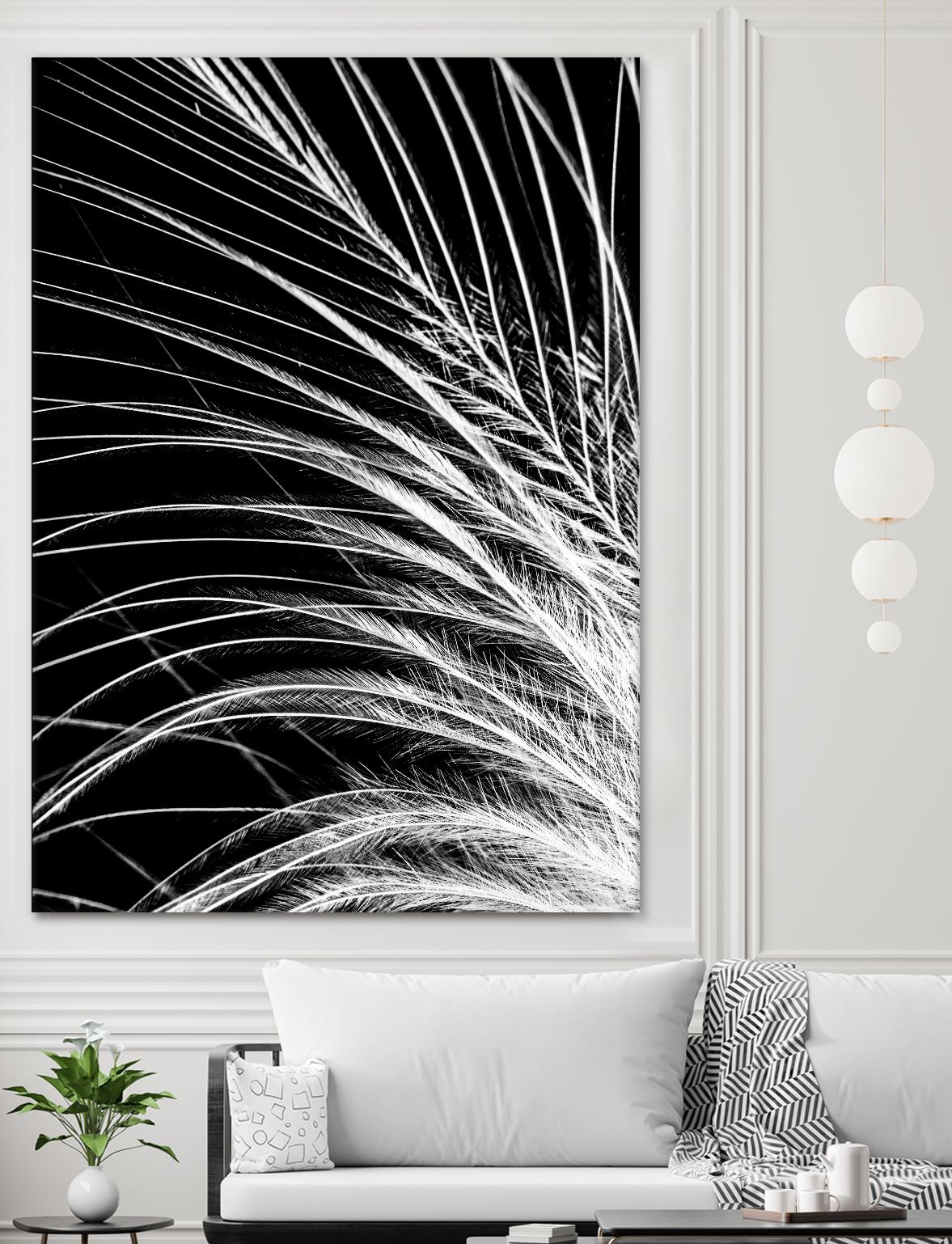 White Feather by Incado on GIANT ART - multicolor photography; floral/still life