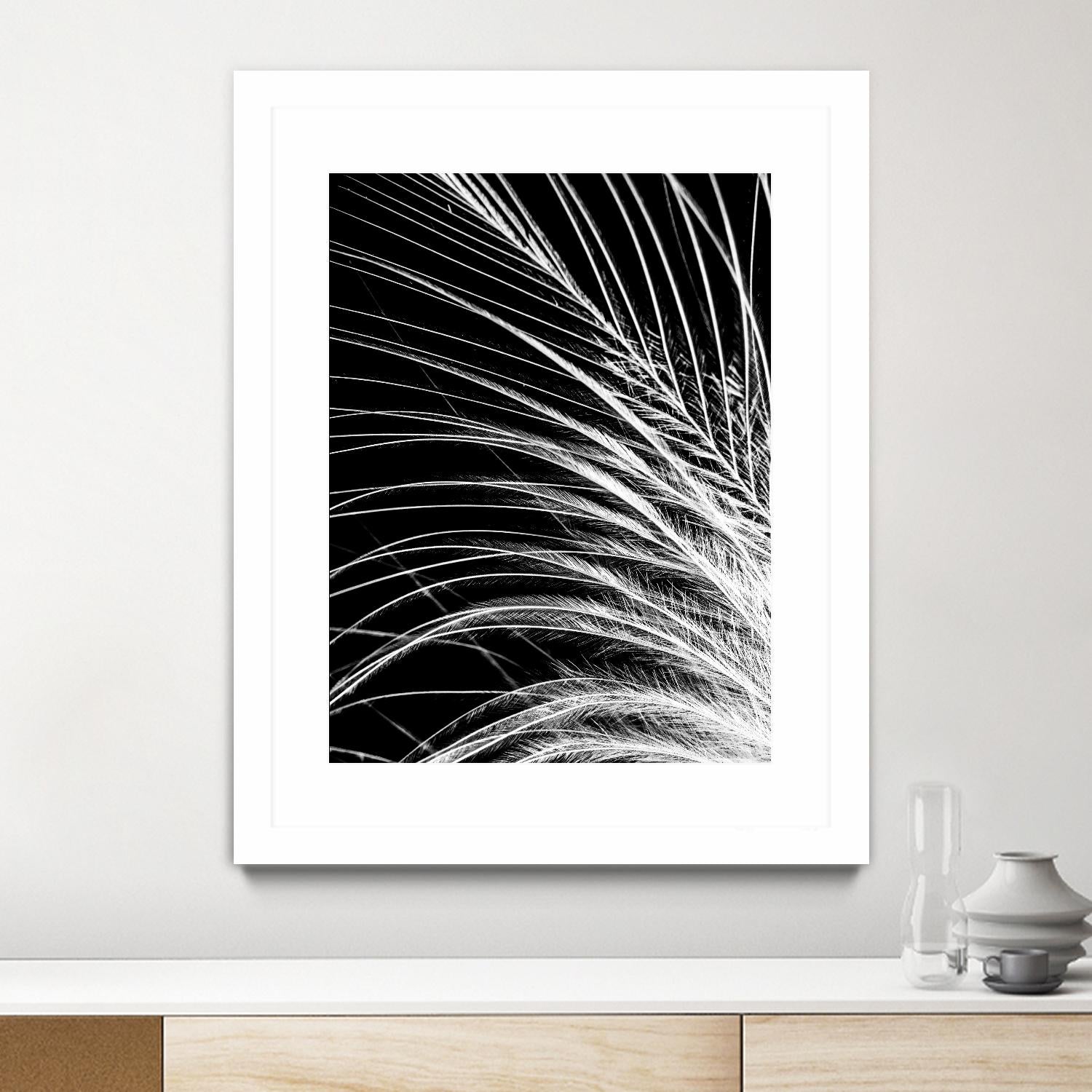 White Feather by Incado on GIANT ART - multicolor photography; floral/still life
