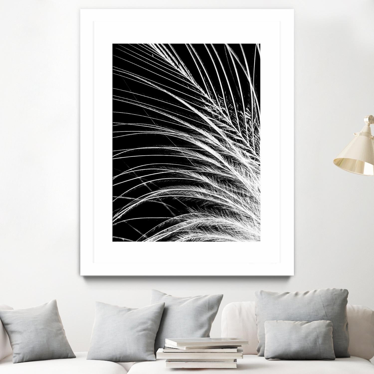 White Feather by Incado on GIANT ART - multicolor photography; floral/still life