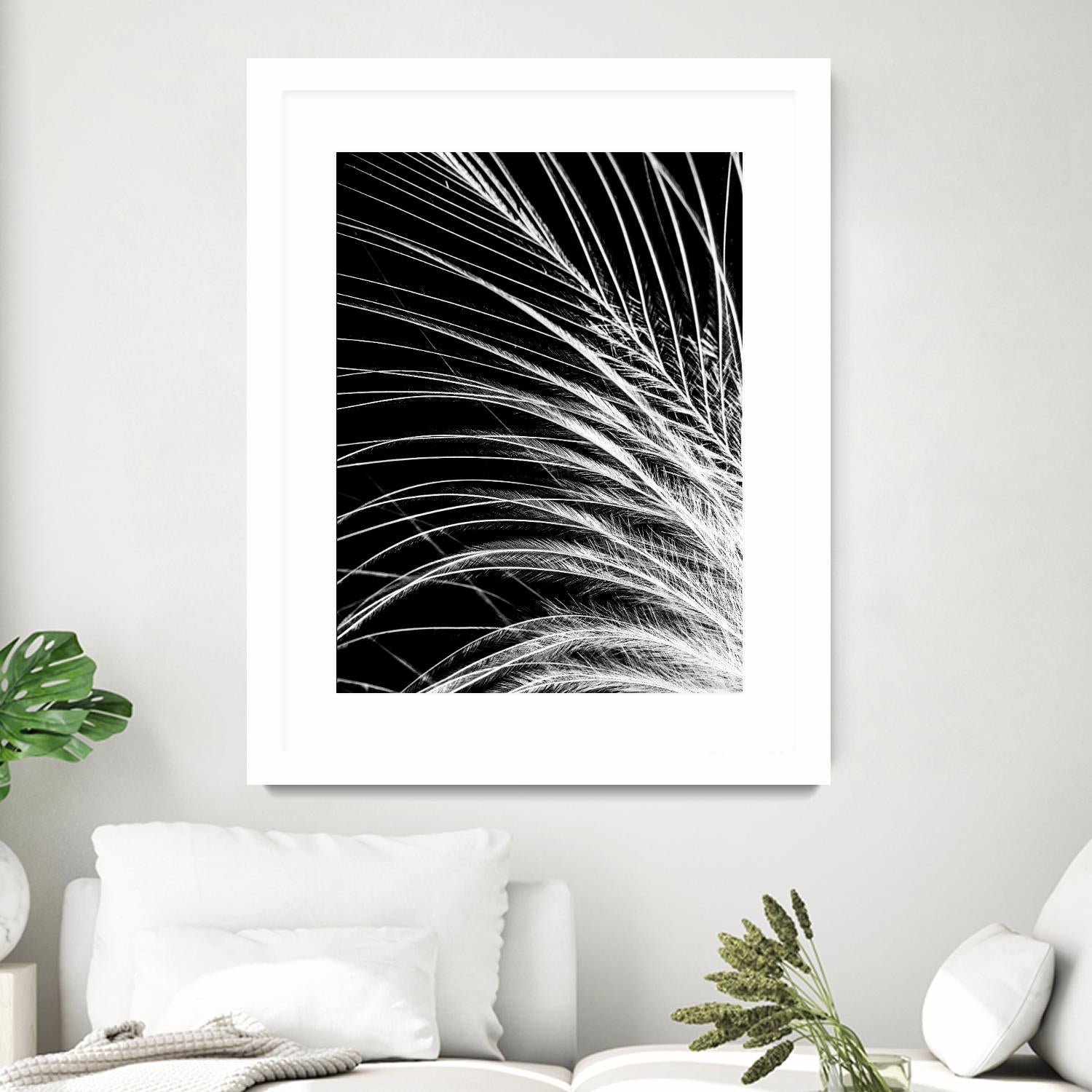 White Feather by Incado on GIANT ART - multicolor photography; floral/still life