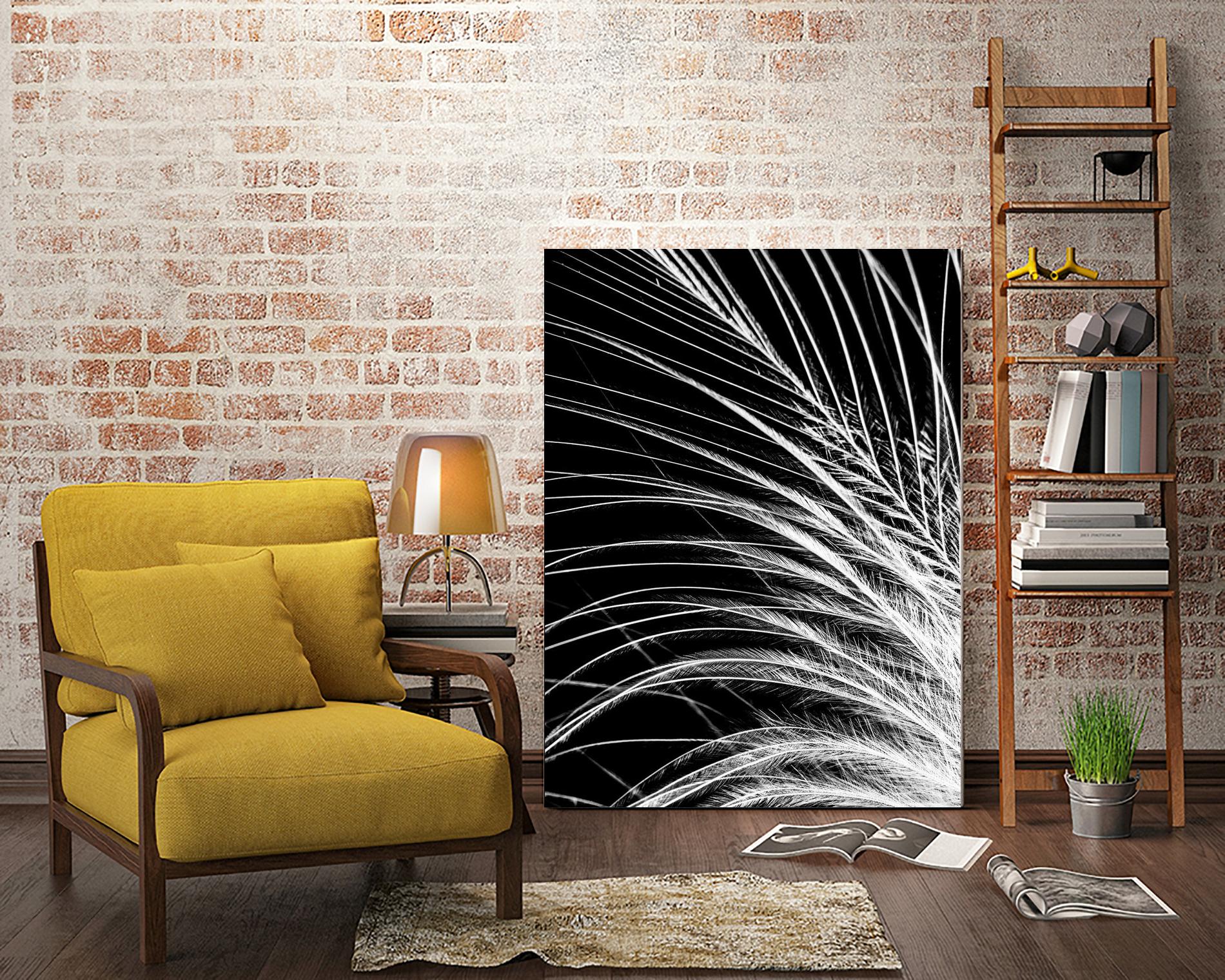 White Feather by Incado on GIANT ART - multicolor photography; floral/still life