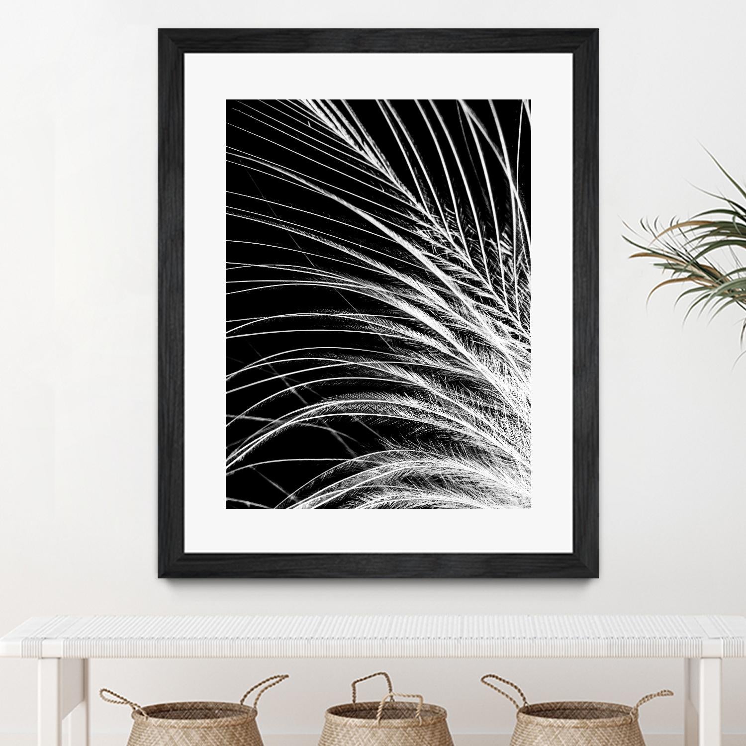 White Feather by Incado on GIANT ART - multicolor photography; floral/still life