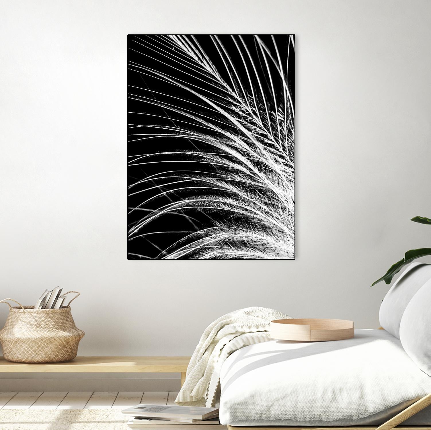 White Feather by Incado on GIANT ART - multicolor photography; floral/still life