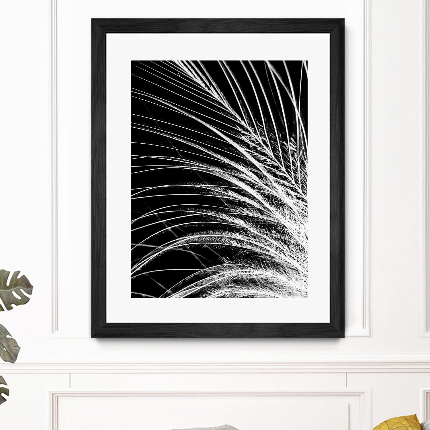 White Feather by Incado on GIANT ART - multicolor photography; floral/still life