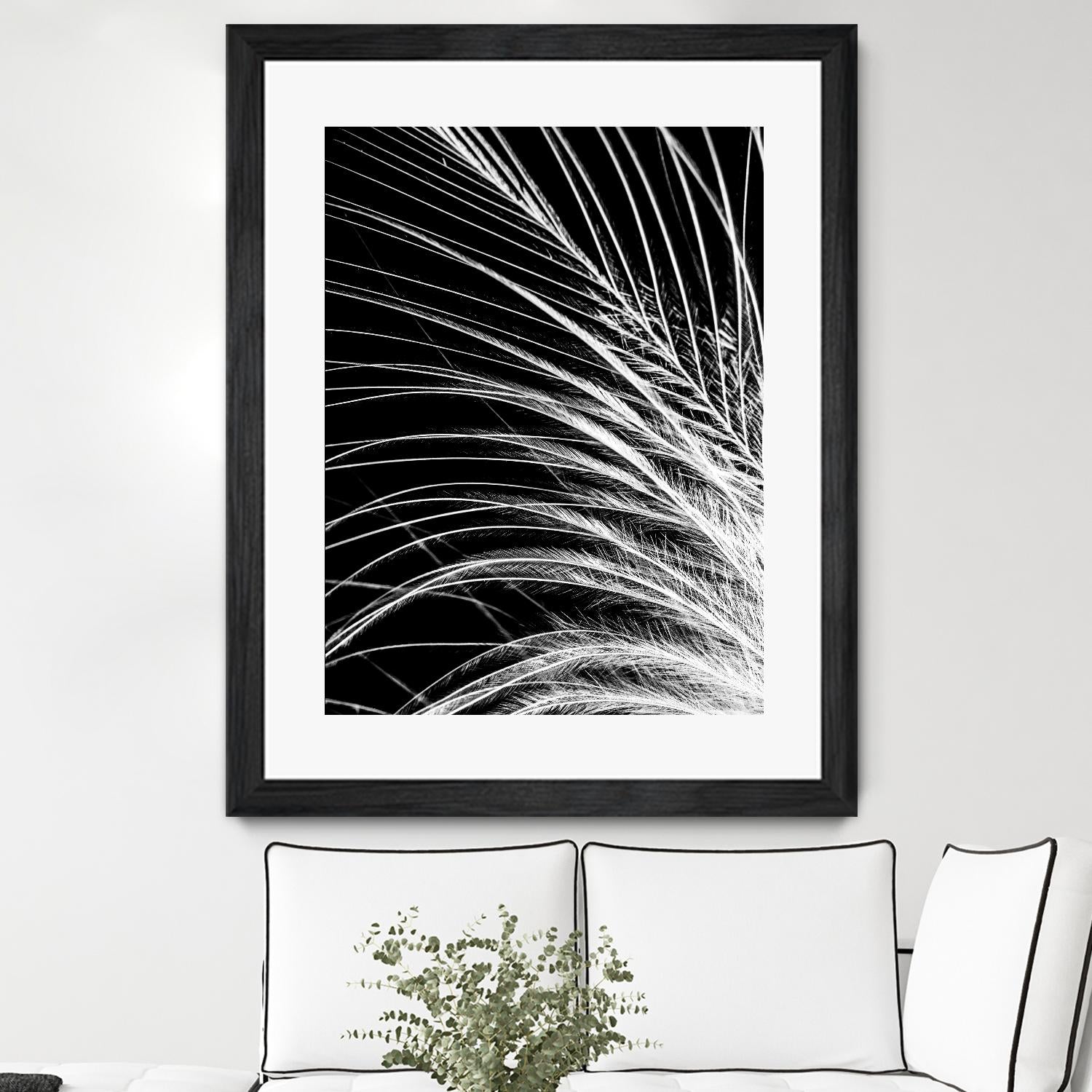 White Feather by Incado on GIANT ART - multicolor photography; floral/still life