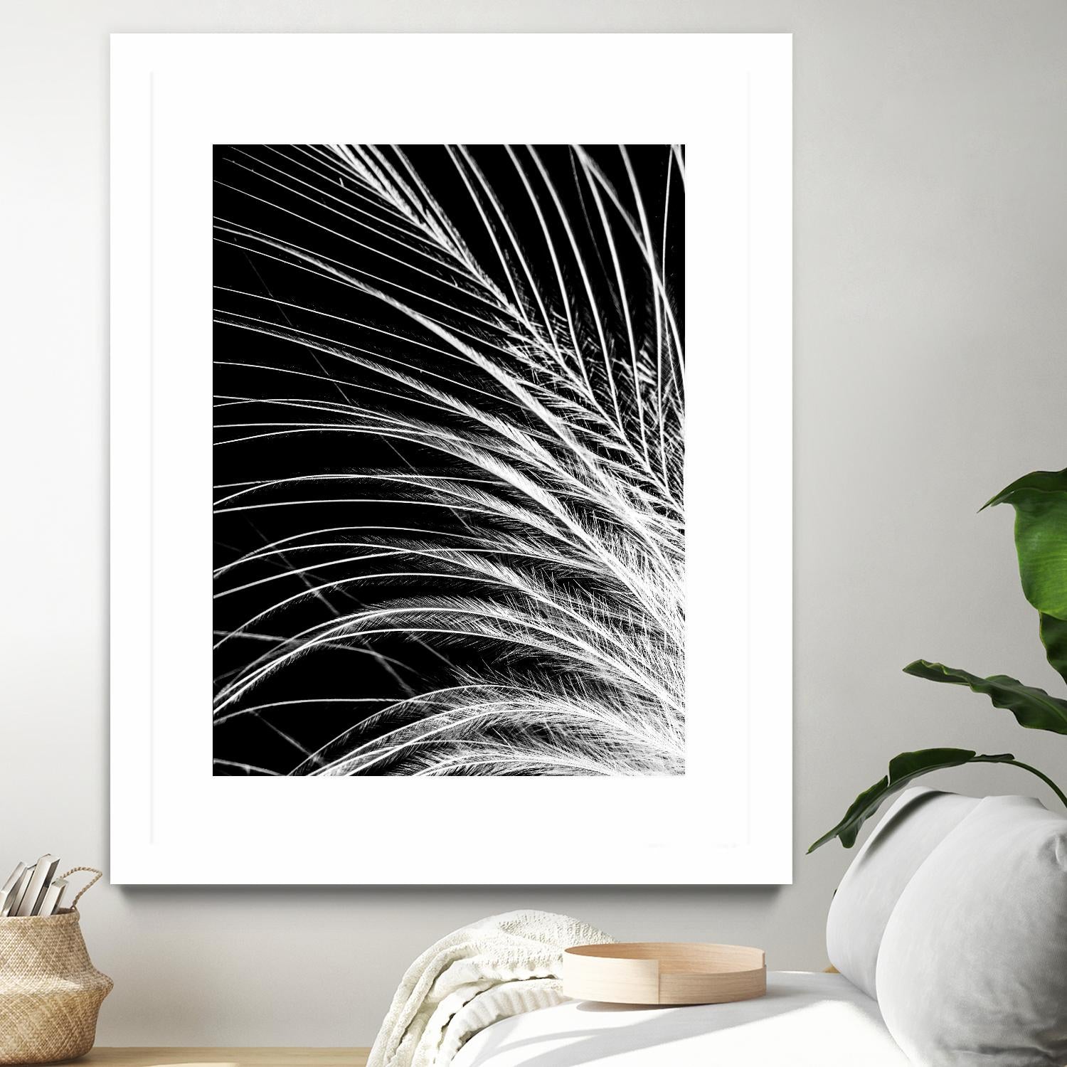 White Feather by Incado on GIANT ART - multicolor photography; floral/still life