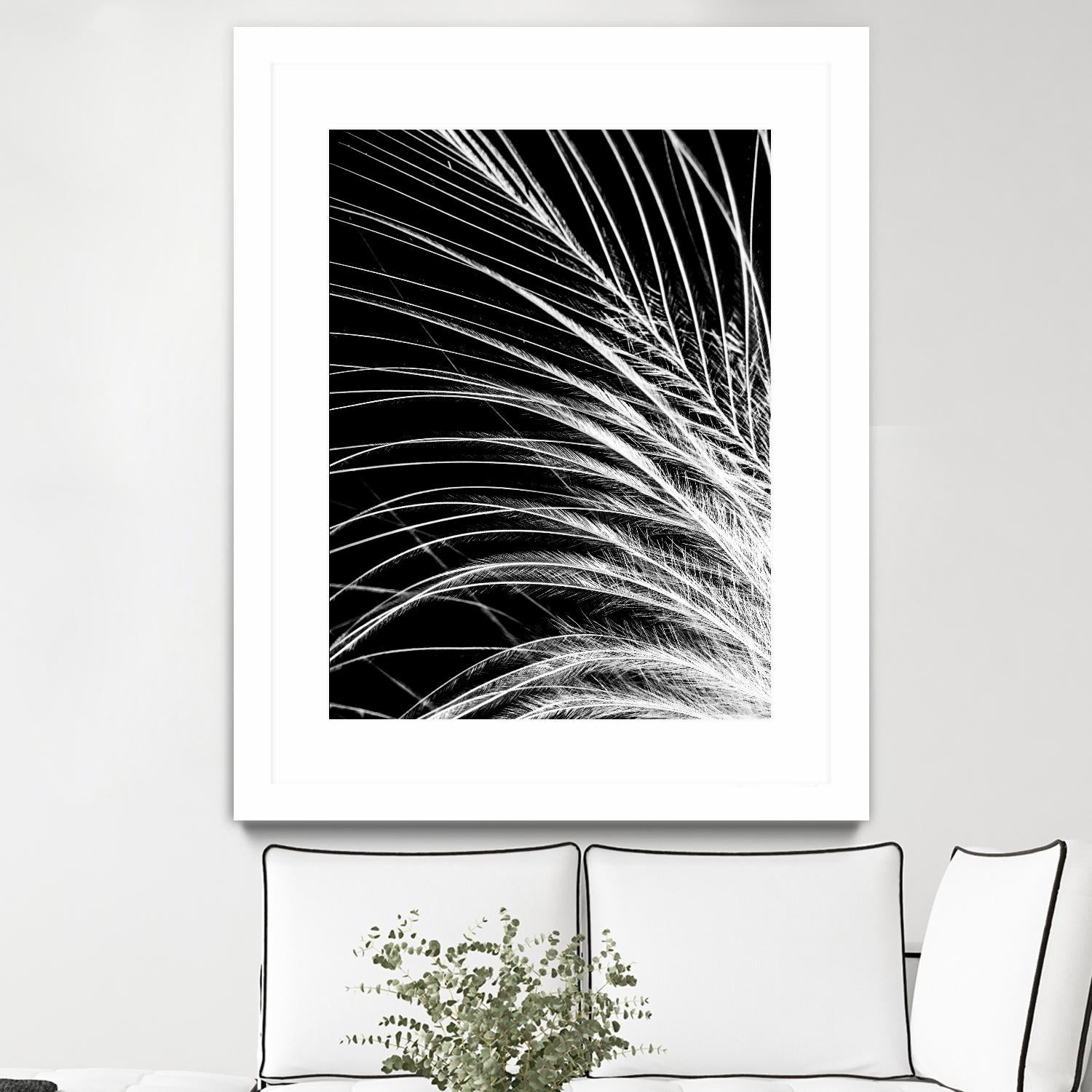 White Feather by Incado on GIANT ART - multicolor photography; floral/still life